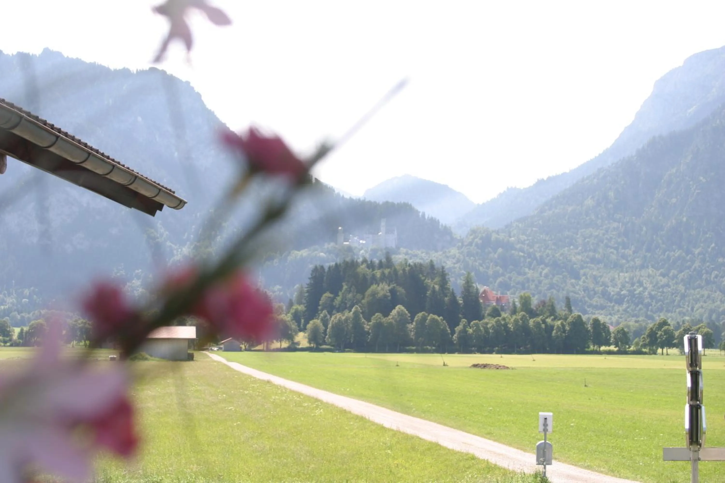 Area and facilities in Gästehaus Elisabeth