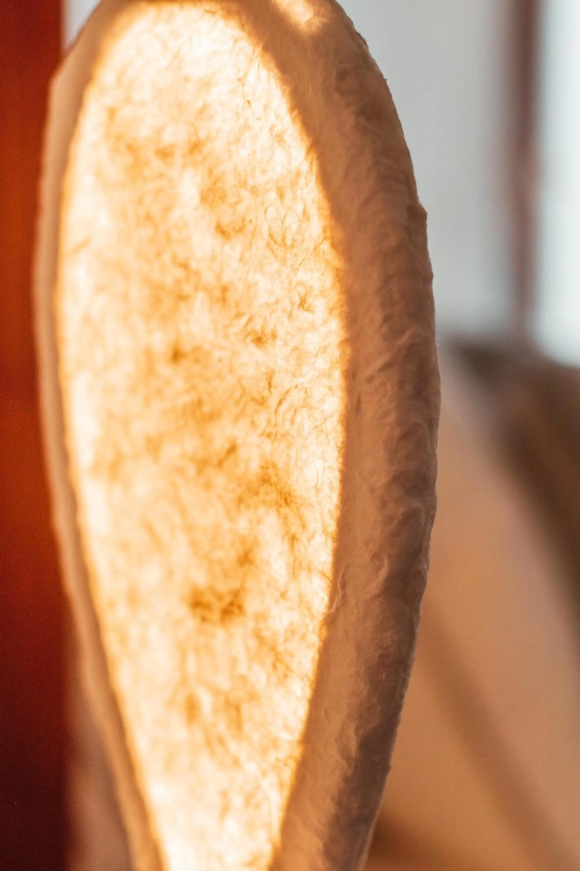 Decorative detail in Echi di Puglia Marsento