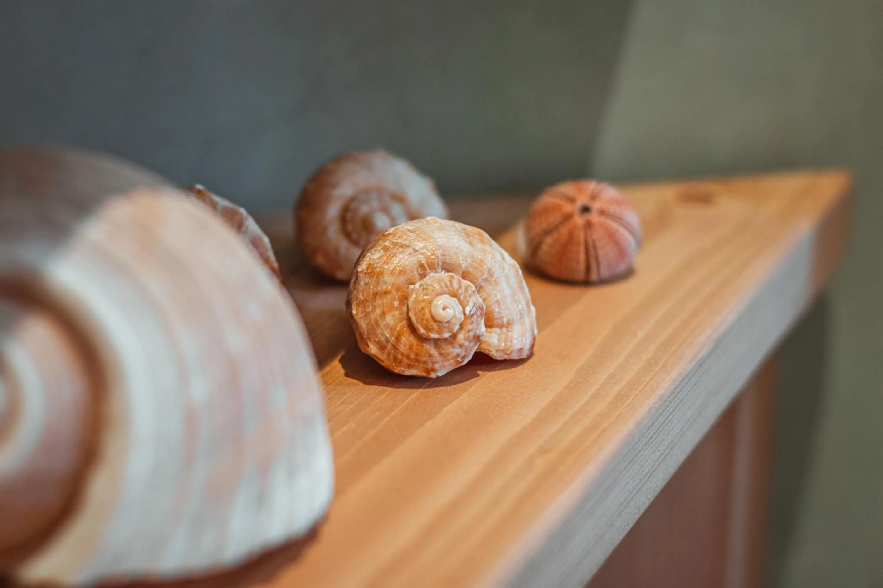 Decorative detail in Echi di Puglia Marsento