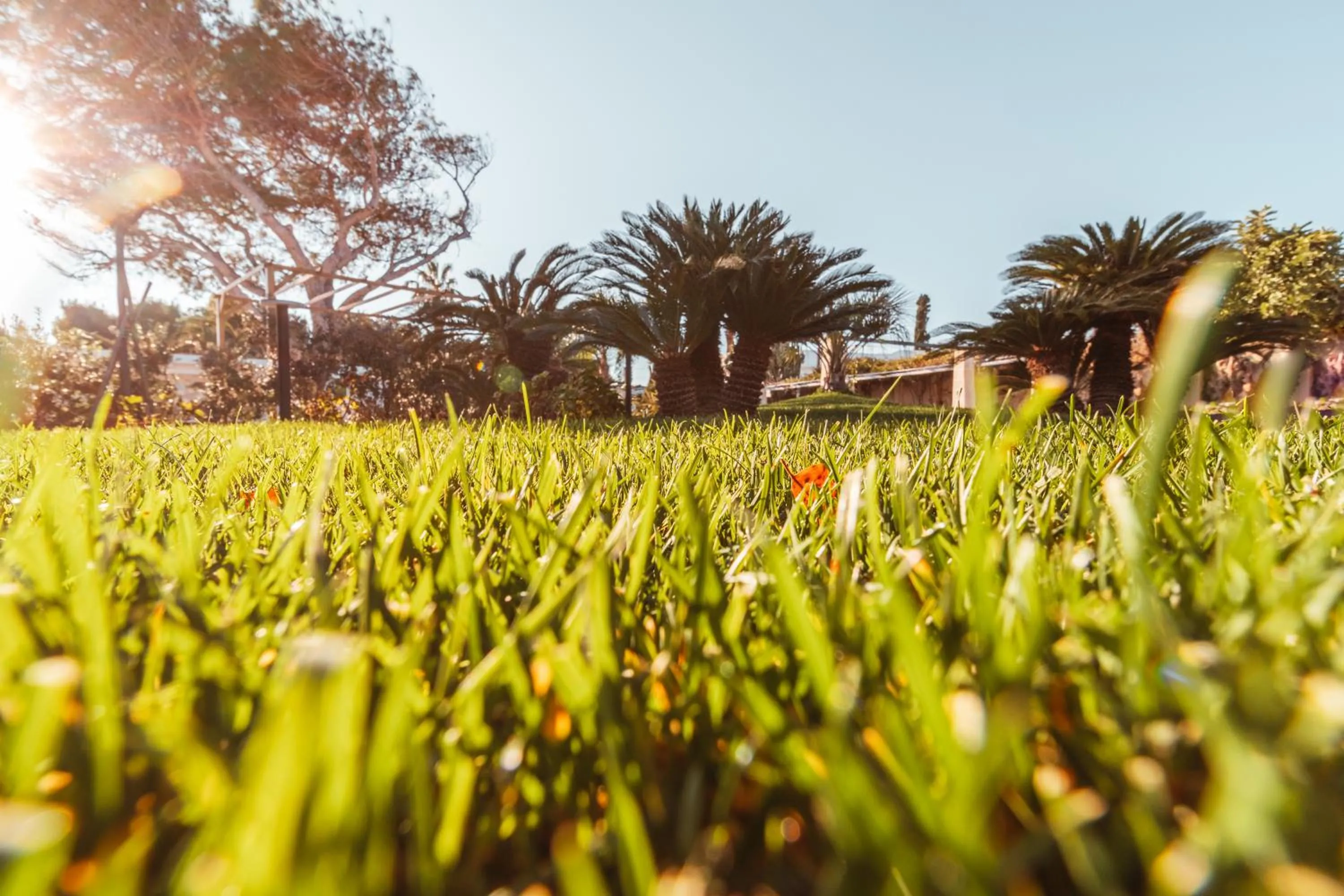 Garden in Echi di Puglia Marsento