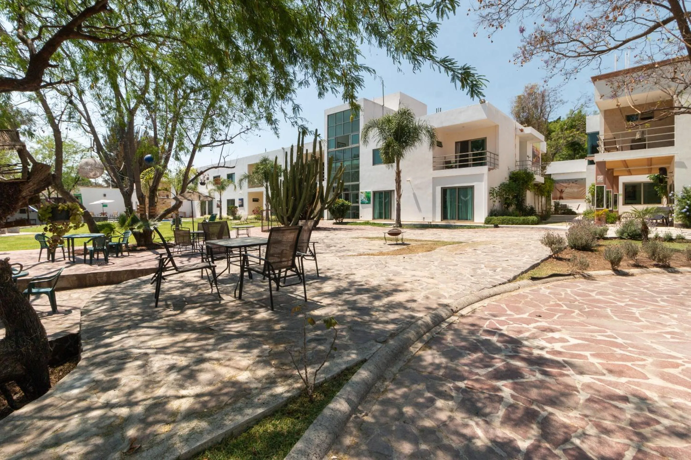 Garden in Capital O Hotel Vitale Leon MX