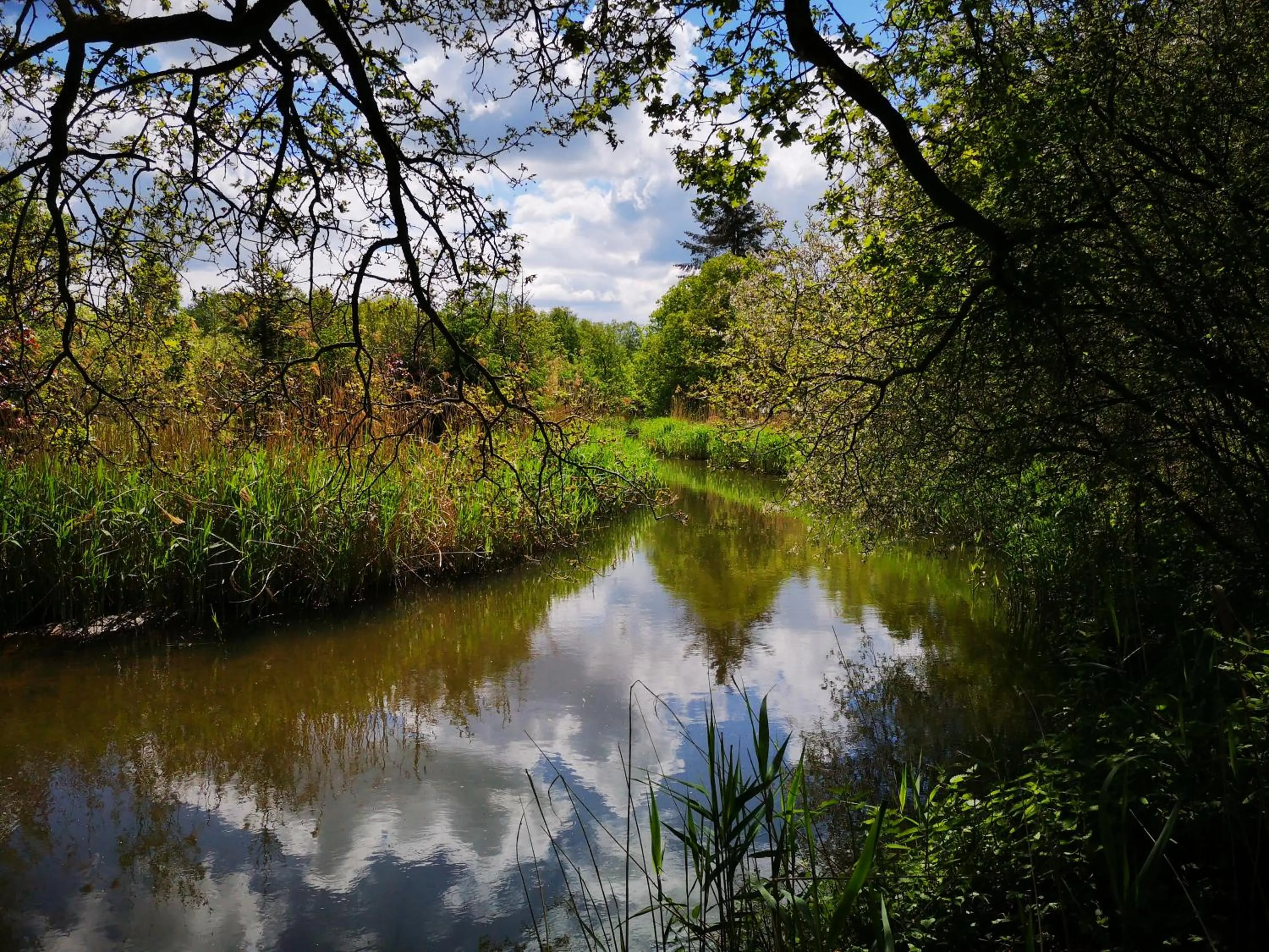 Natural landscape in Boutique hotel Lytel Blue