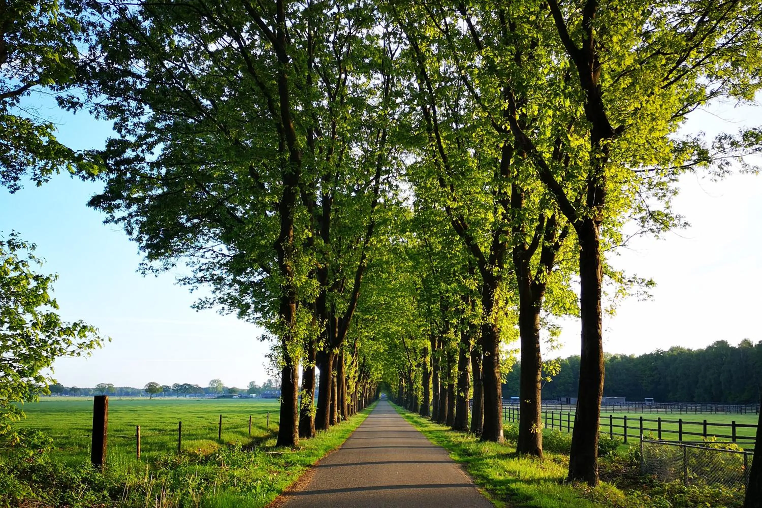 Natural landscape in Boutique hotel Lytel Blue