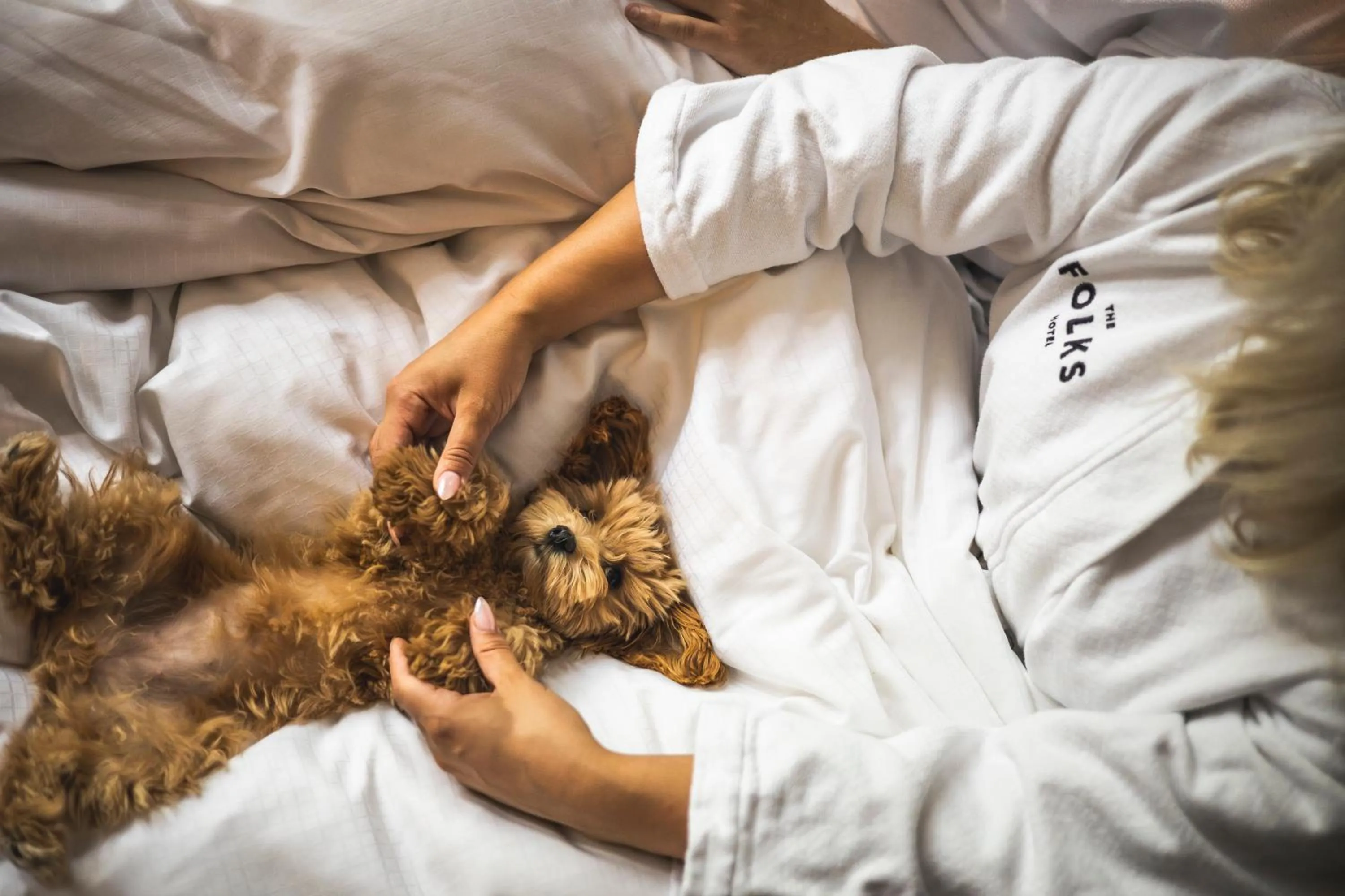 Pets in The Folks Hotel Konepaja