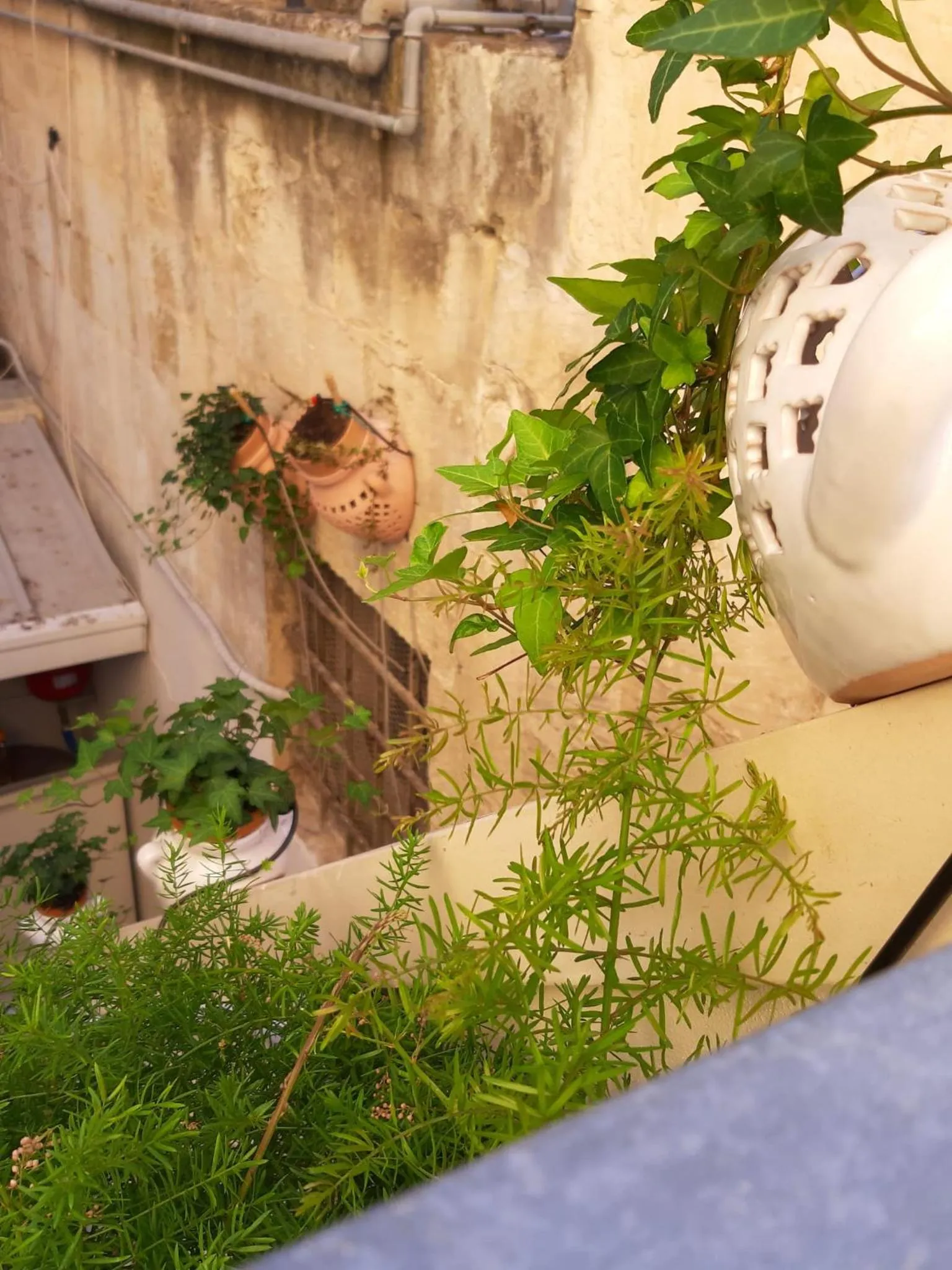 Balcony/Terrace in Litium 3