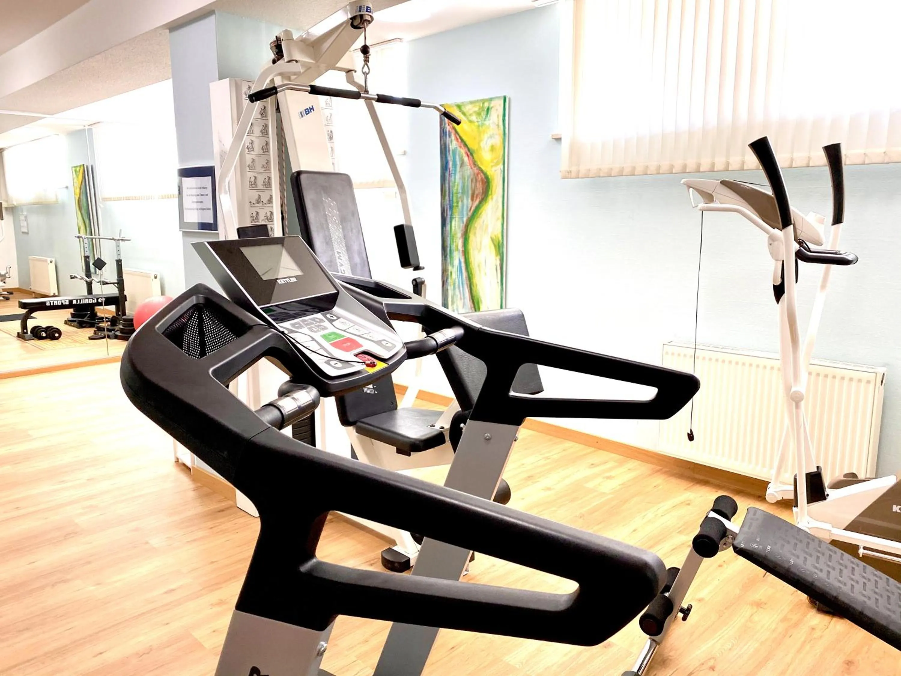 Fitness centre/facilities in Hotel Garni Rebgarten