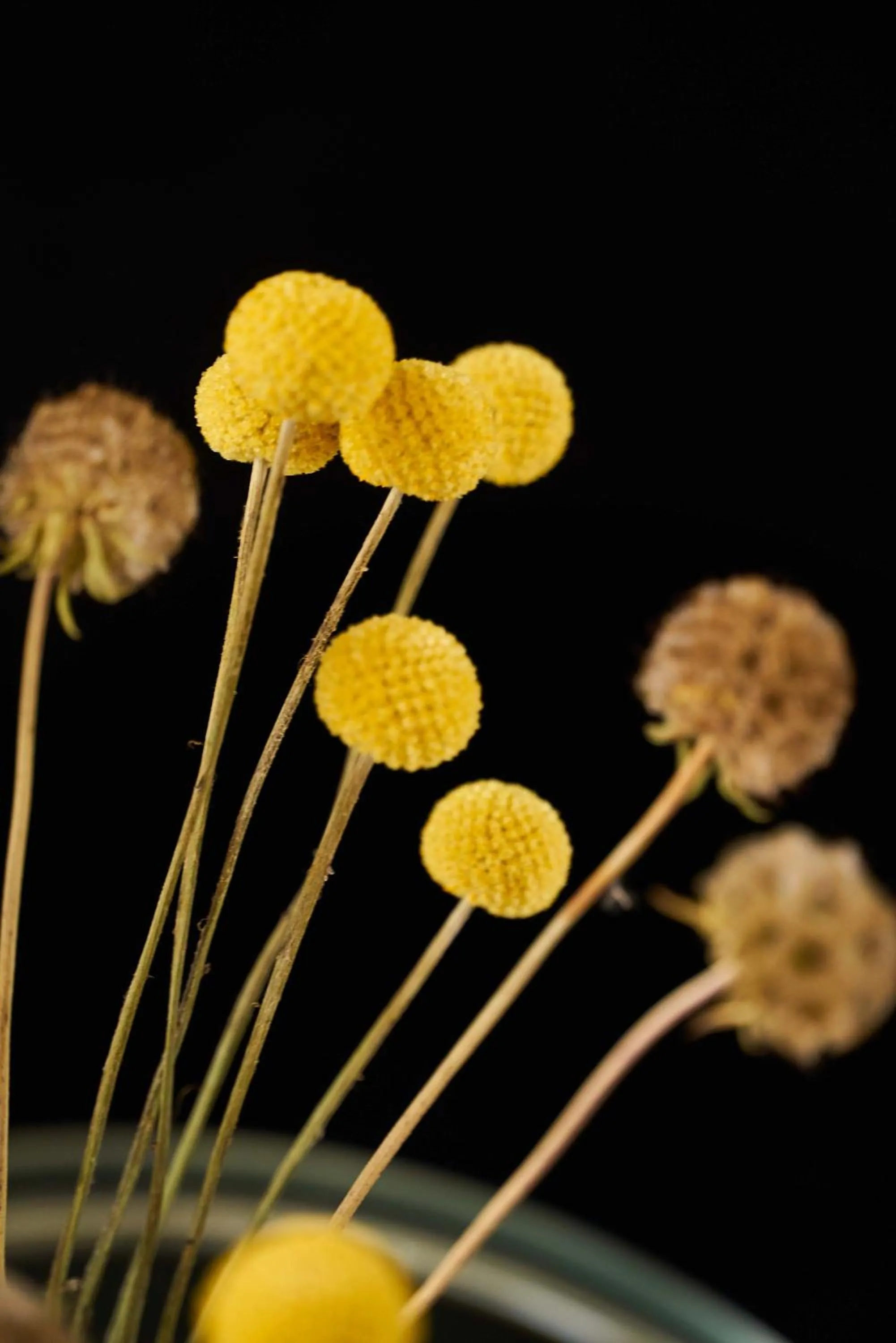 Decorative detail in Hotel Monopol - Central Station