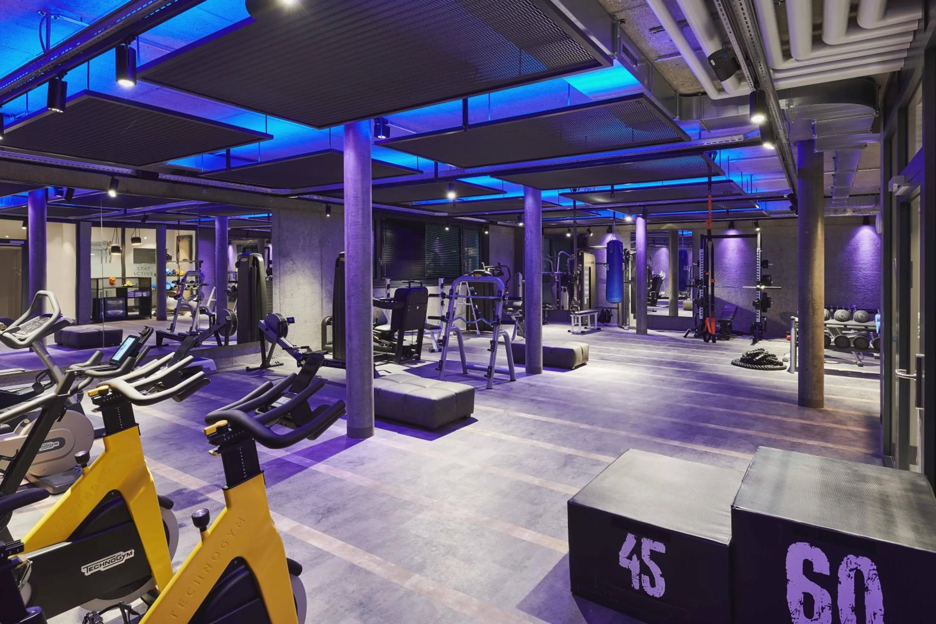 Fitness centre/facilities in SCHLOSS Zermatt - CBD & Adaptogenic Spa and Sport Hotel