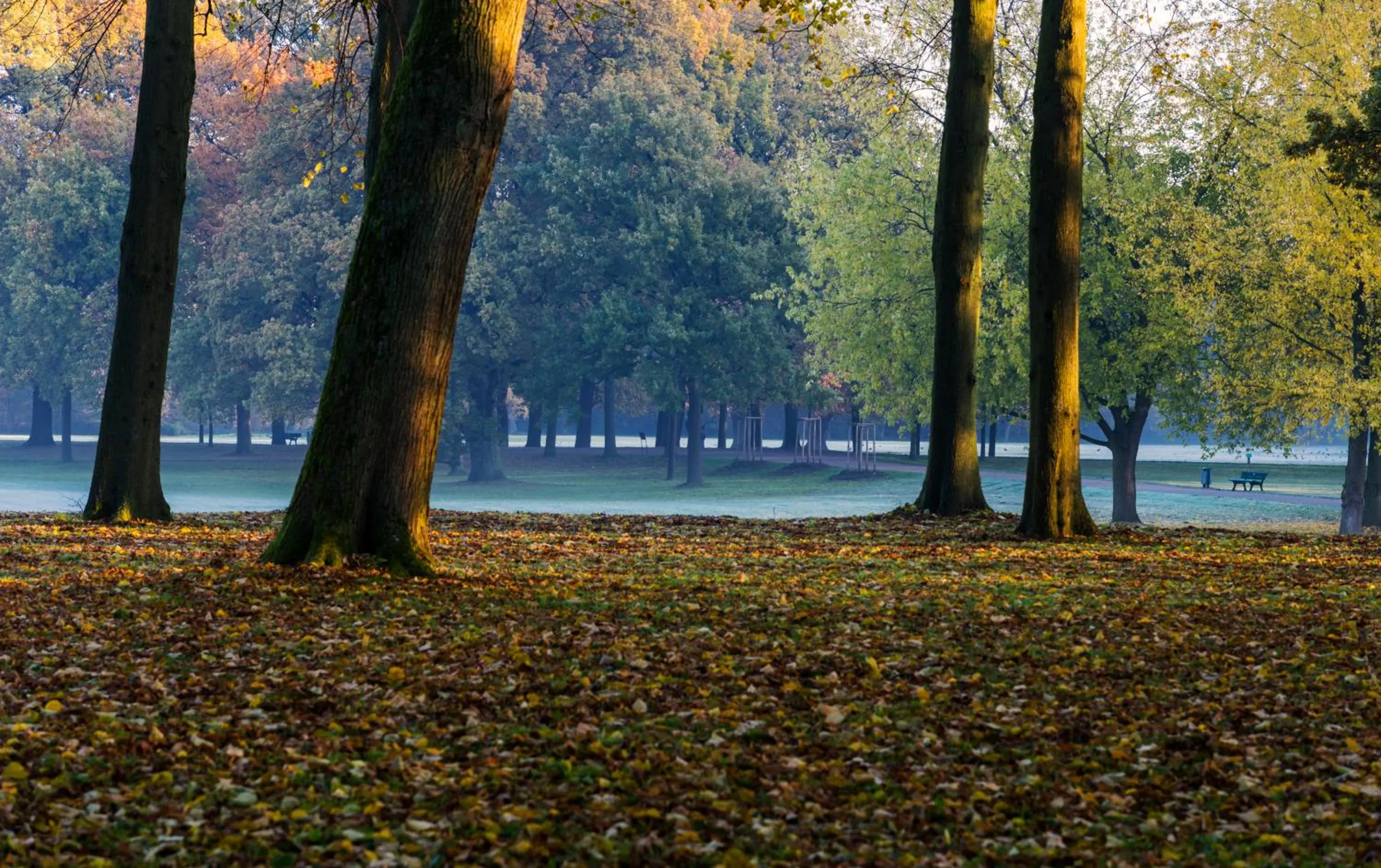 Natural landscape in Parkhotel Bremen – ein Mitglied der Hommage Luxury Hotels Collection