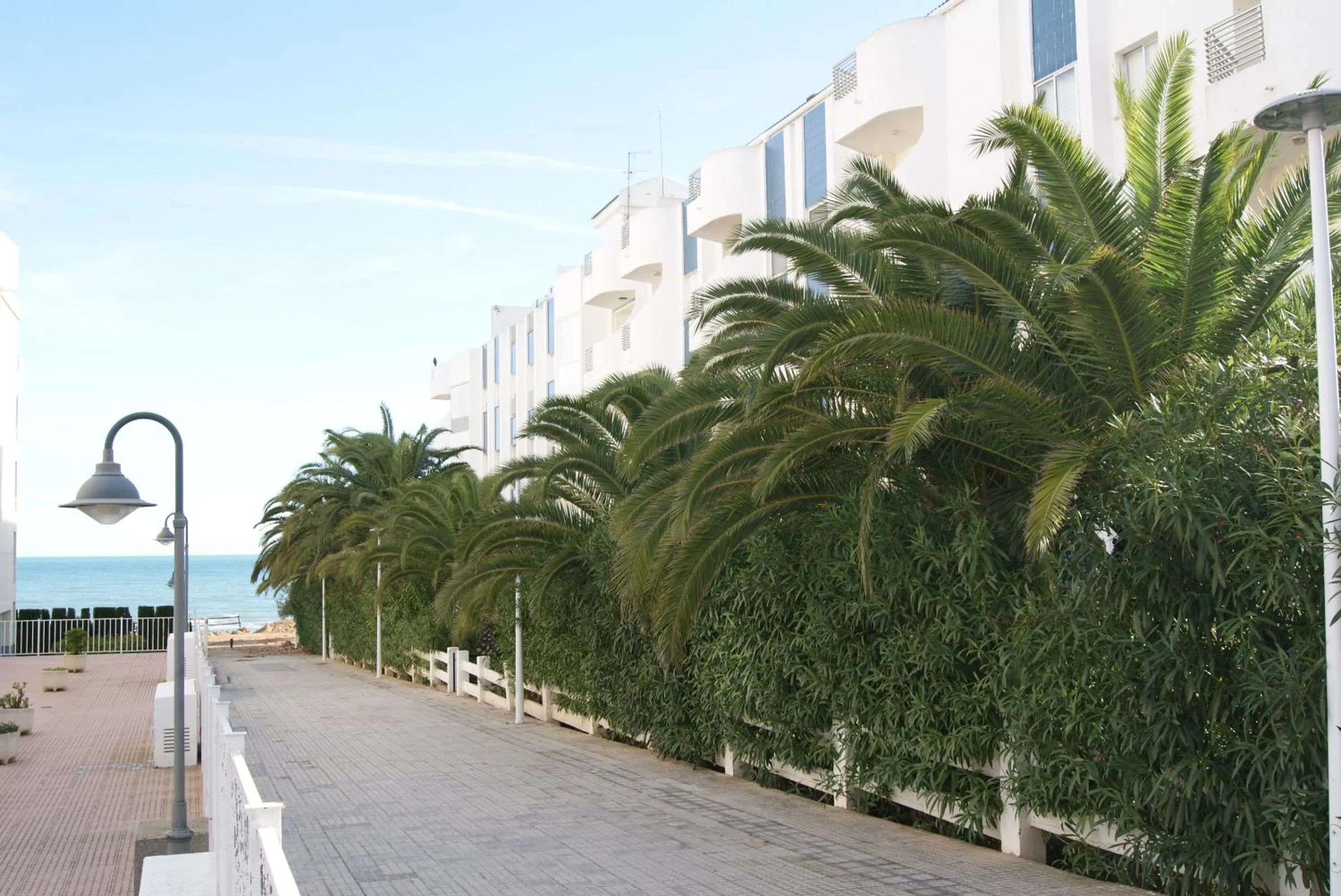 Facade/entrance in Kione Las Margaritas