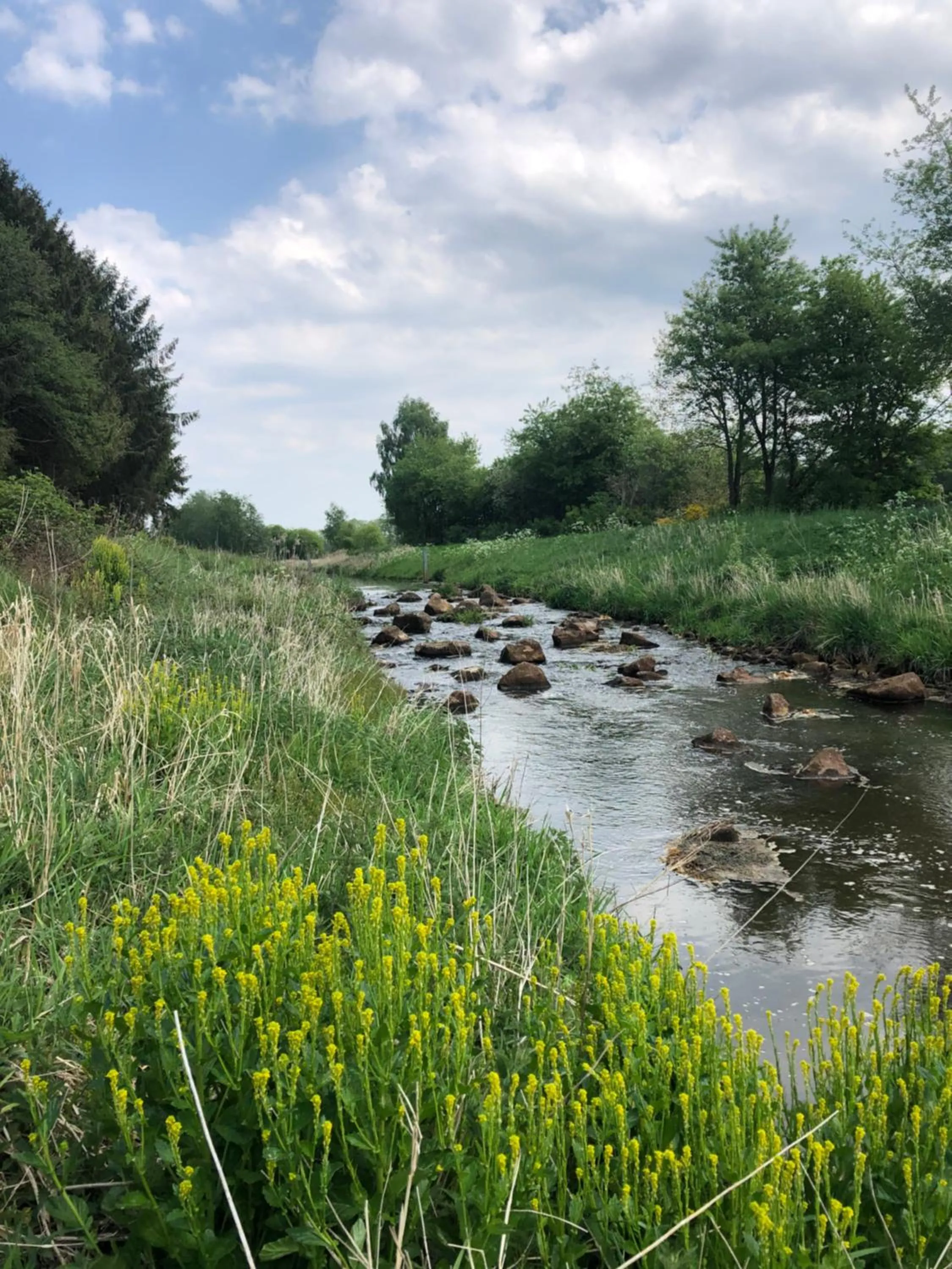 Spring in Hotel Anno 1848