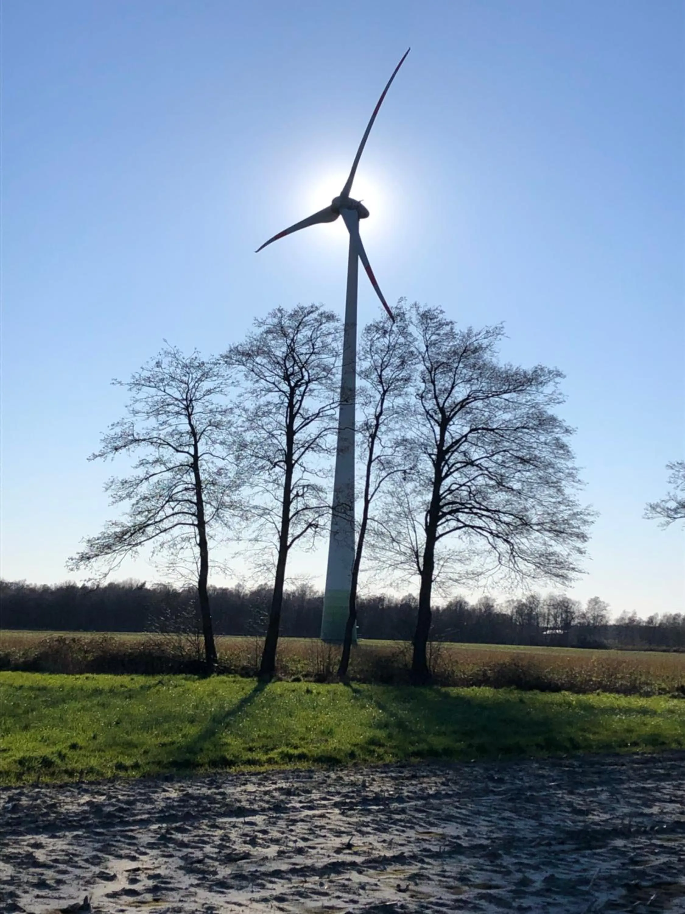 Spring in Hotel Anno 1848