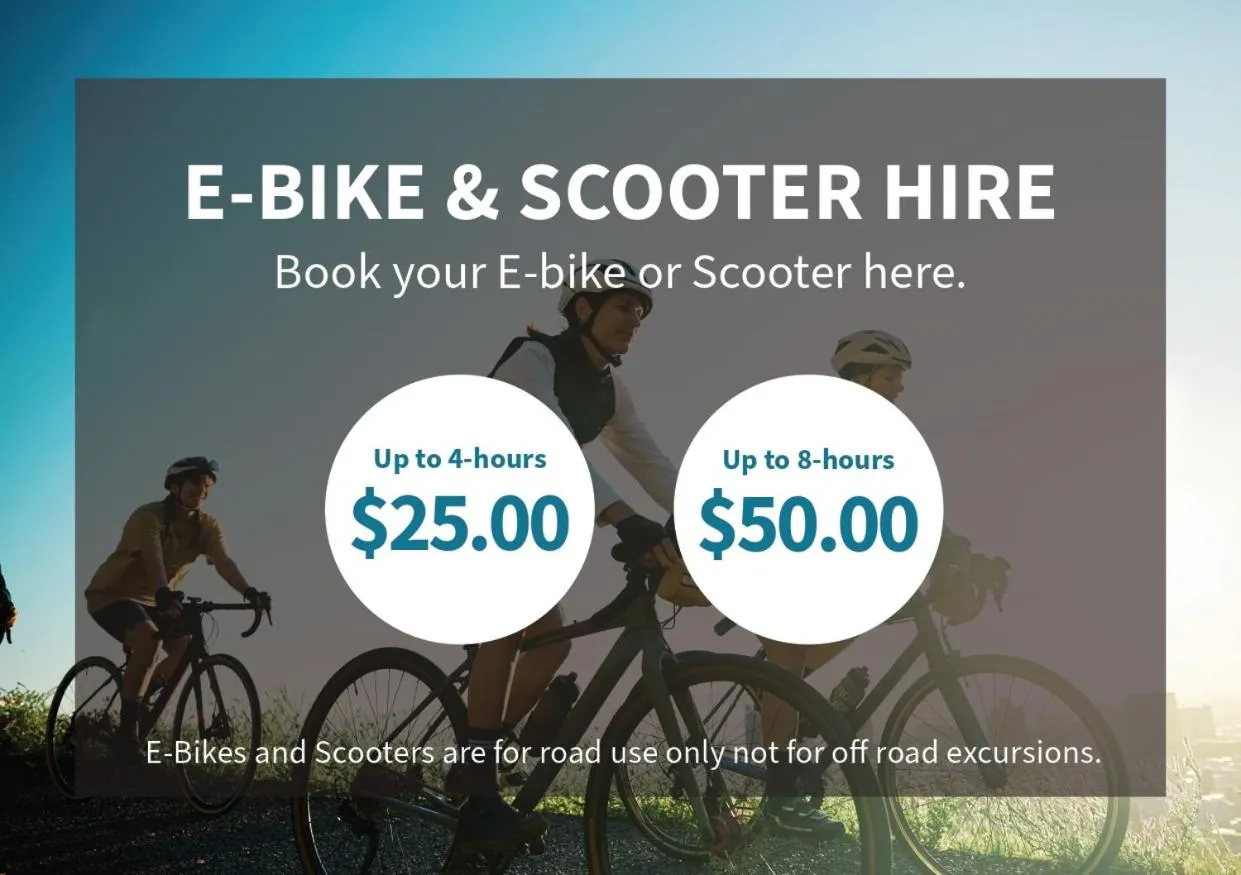 Activities in Kaikoura Waterfront Apartments