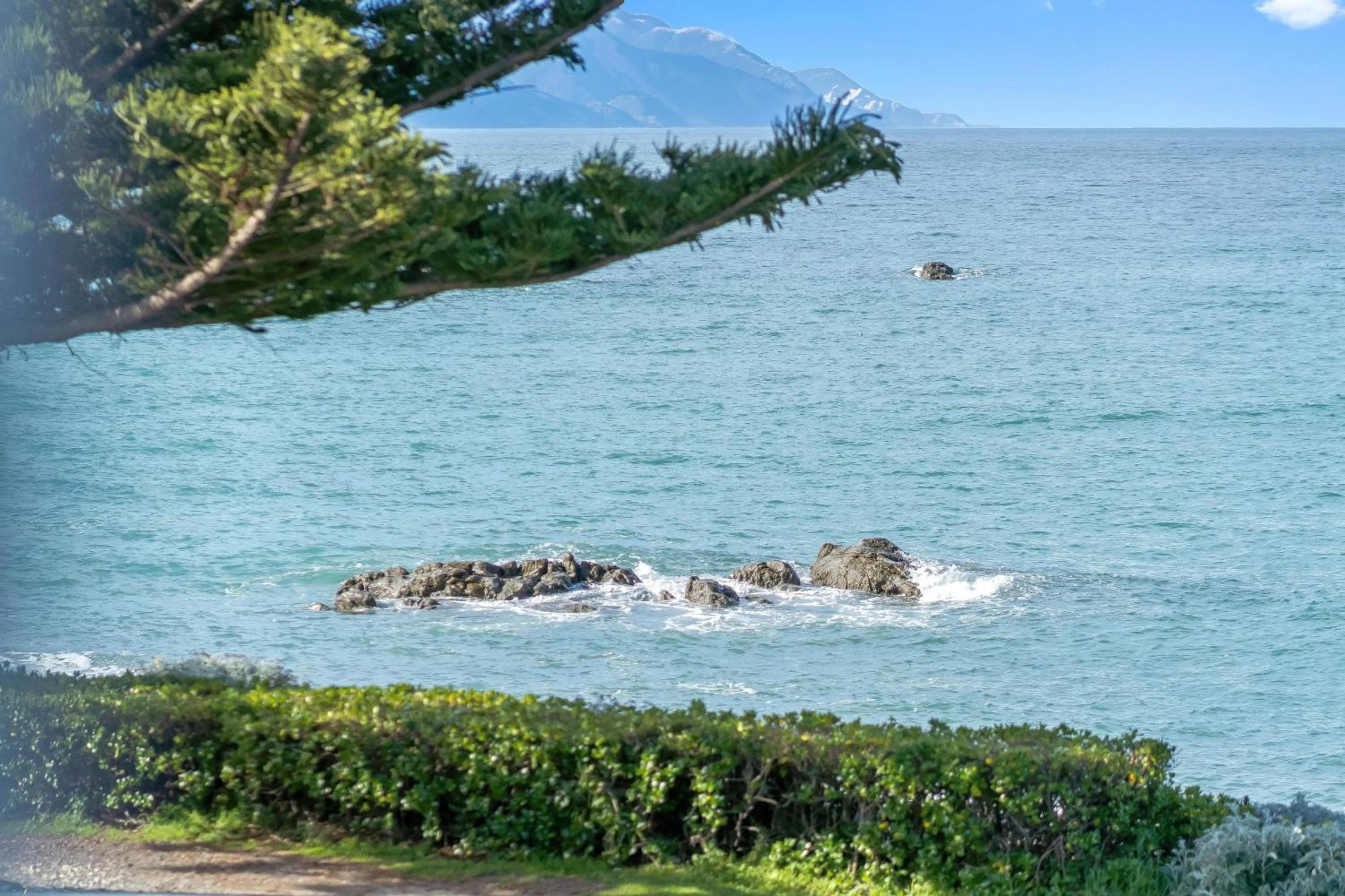 Sea view in Kaikoura Waterfront Apartments