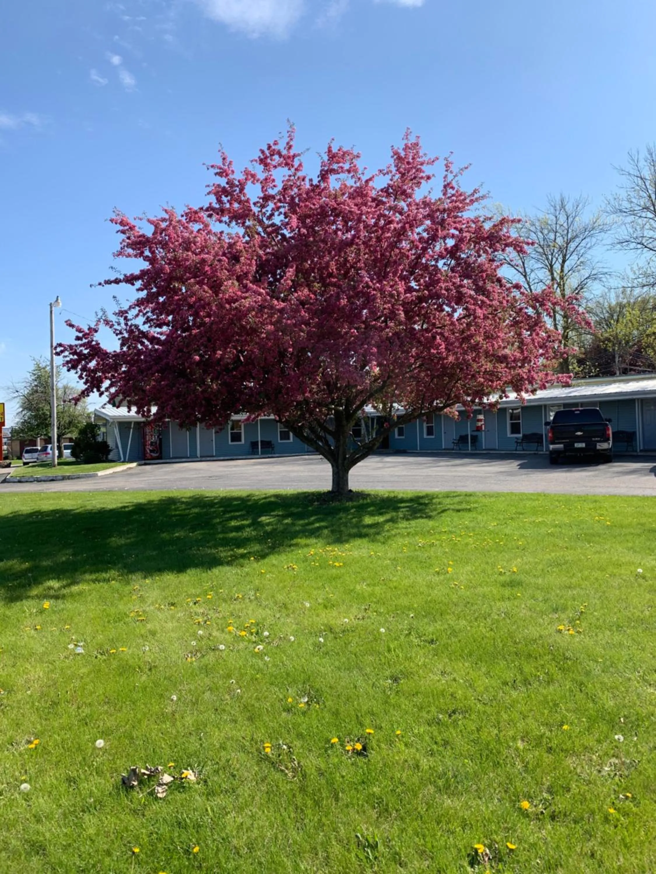 Property building in HOMETOWN INN