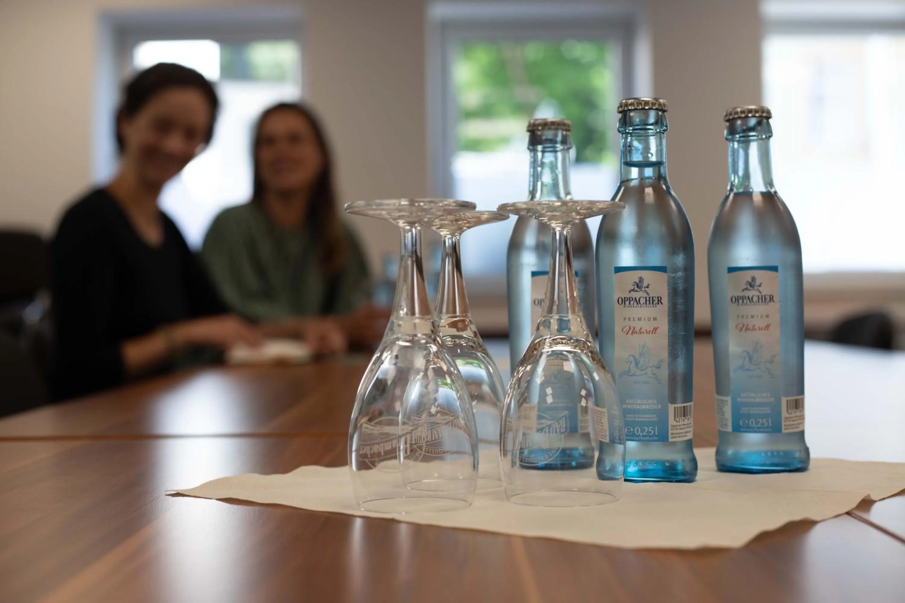 Meeting/conference room in Hotel Ross