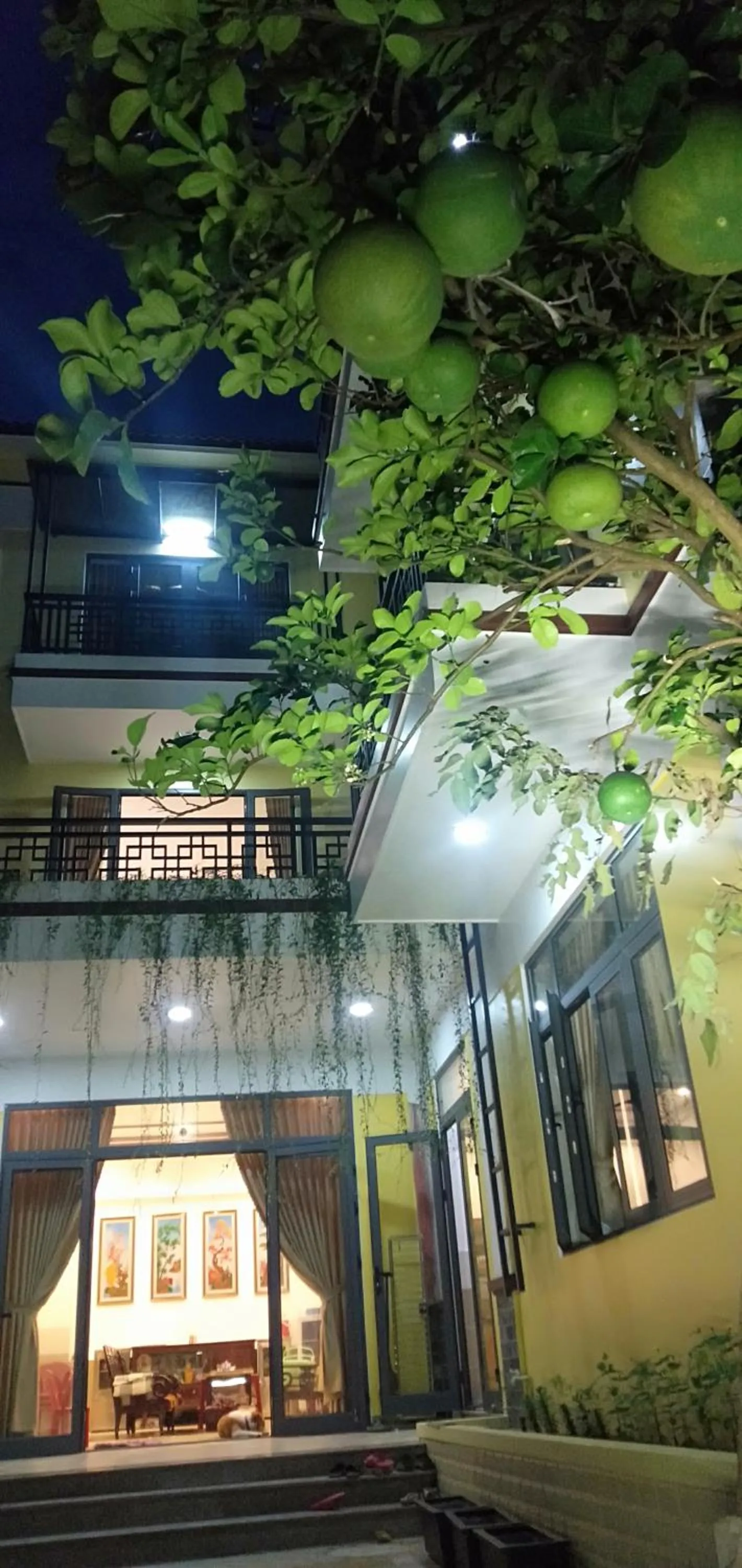 Property building in Hoi An Town Of Viet House Homestay