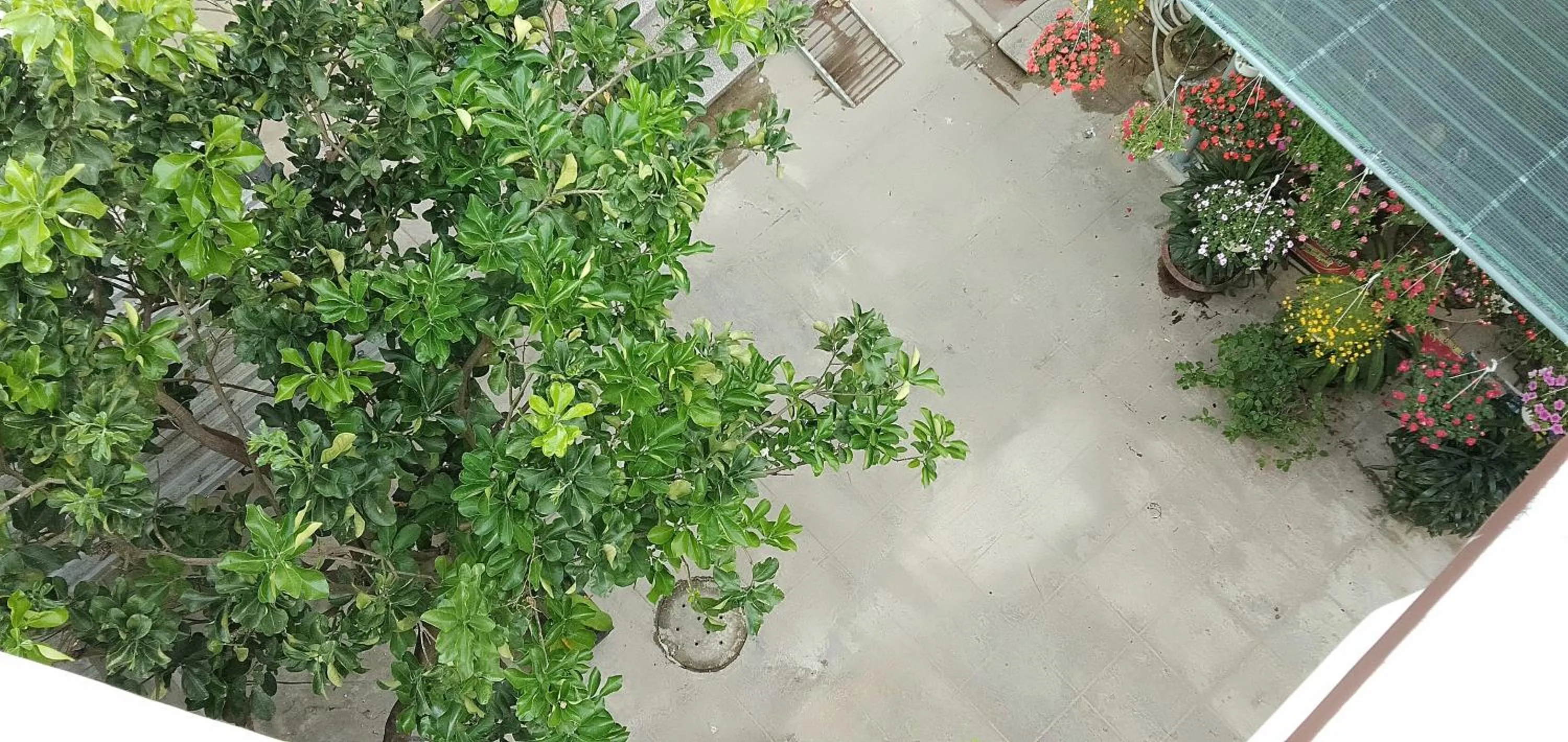 Patio in Hoi An Town Of Viet House Homestay