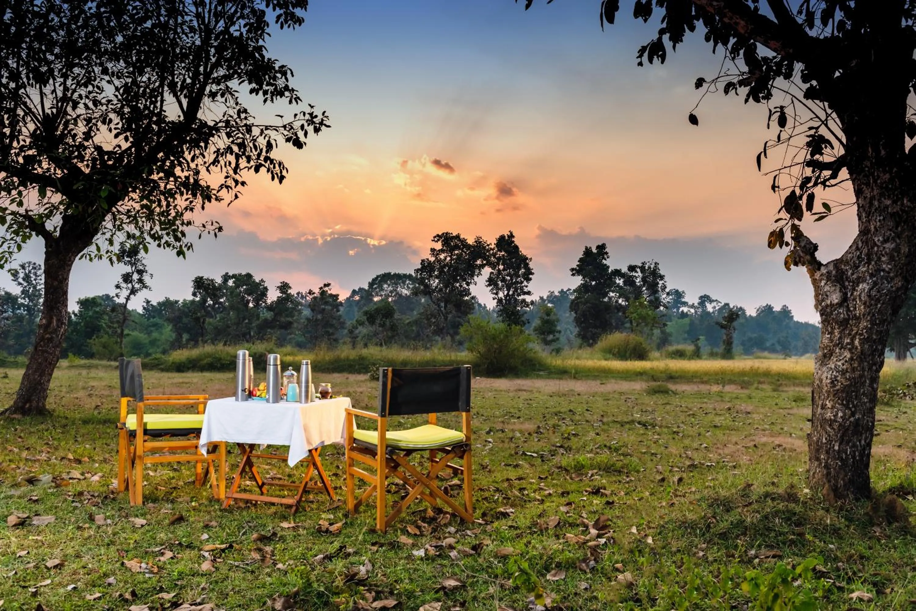 Restaurant/places to eat in Kanha Jungle Camp