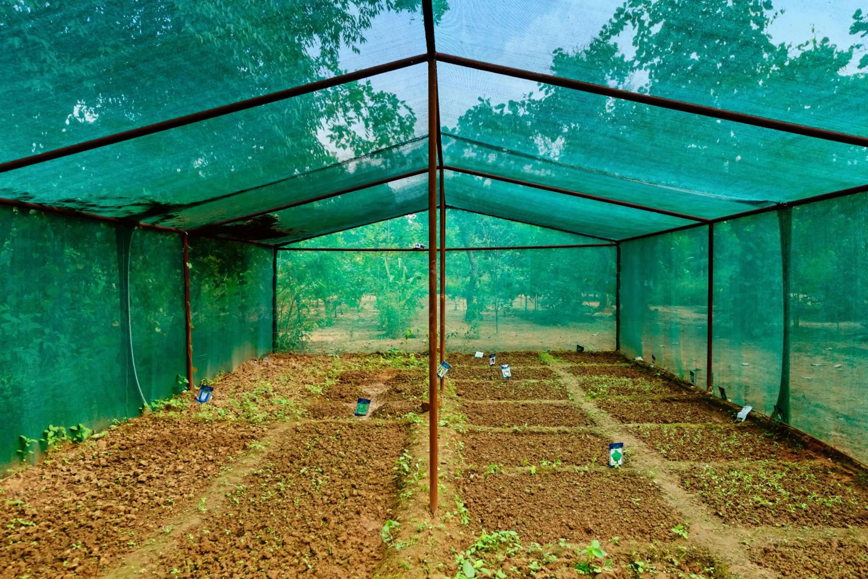 Garden in Kanha Jungle Camp