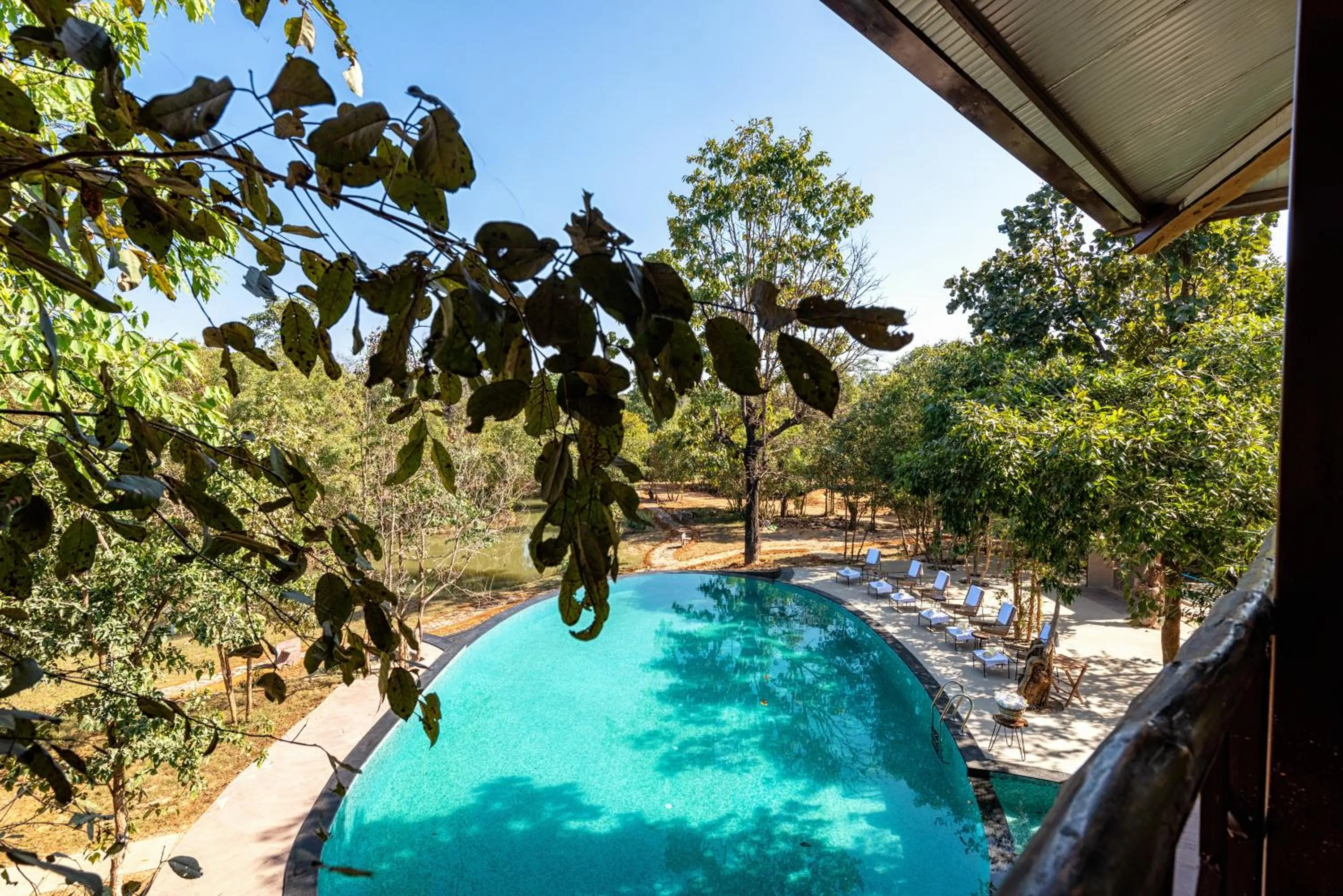 Pool view in Kanha Jungle Camp
