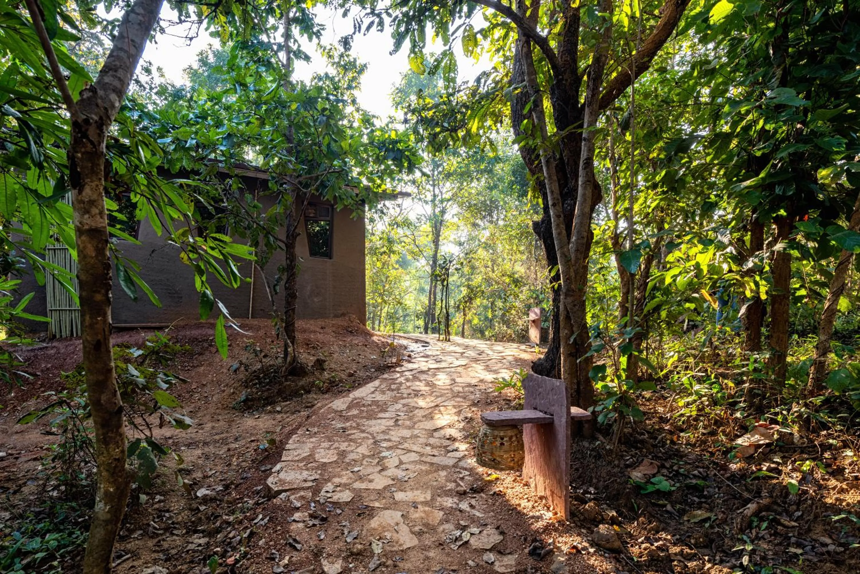 View (from property/room) in Kanha Jungle Camp