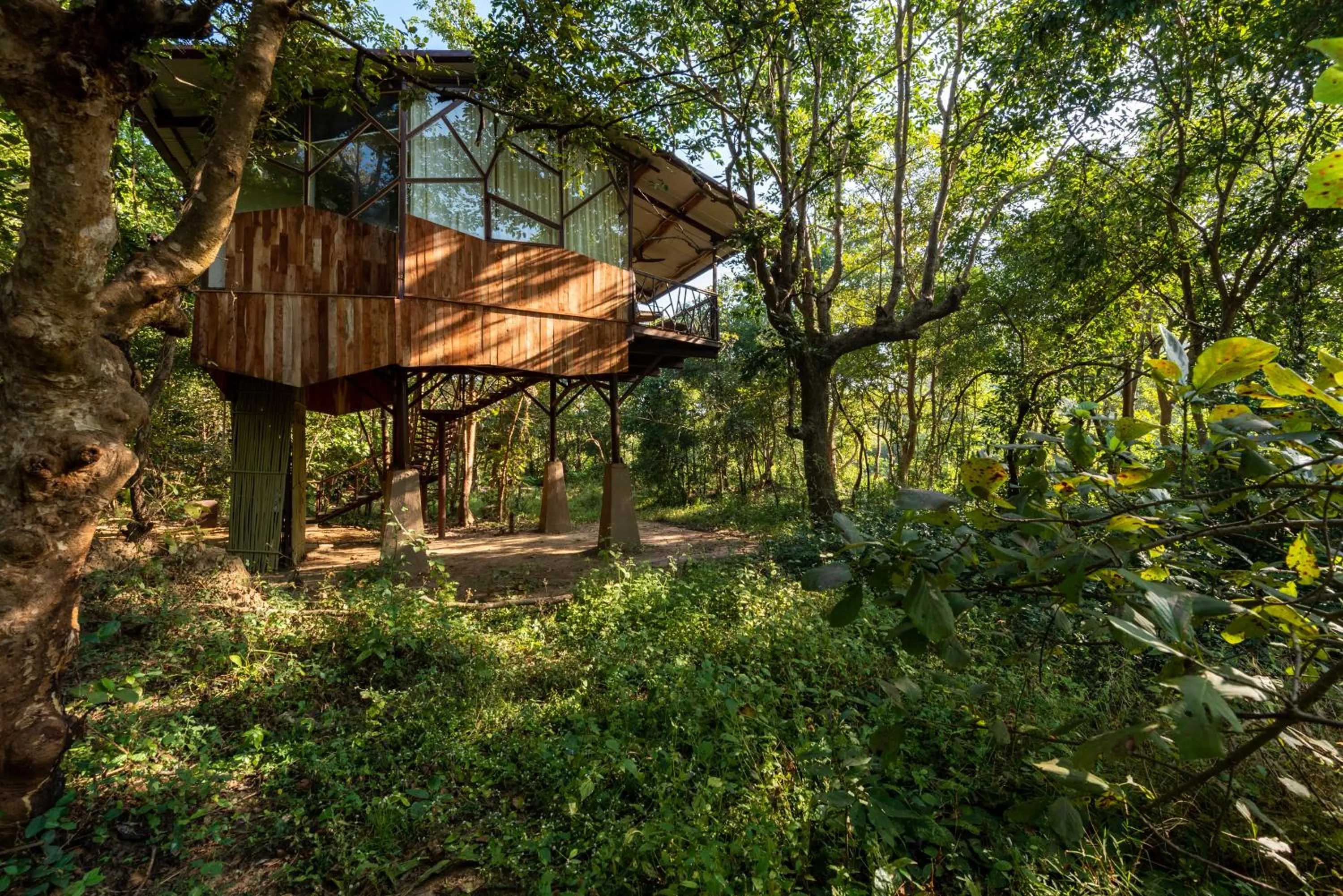 Natural landscape in Kanha Jungle Camp