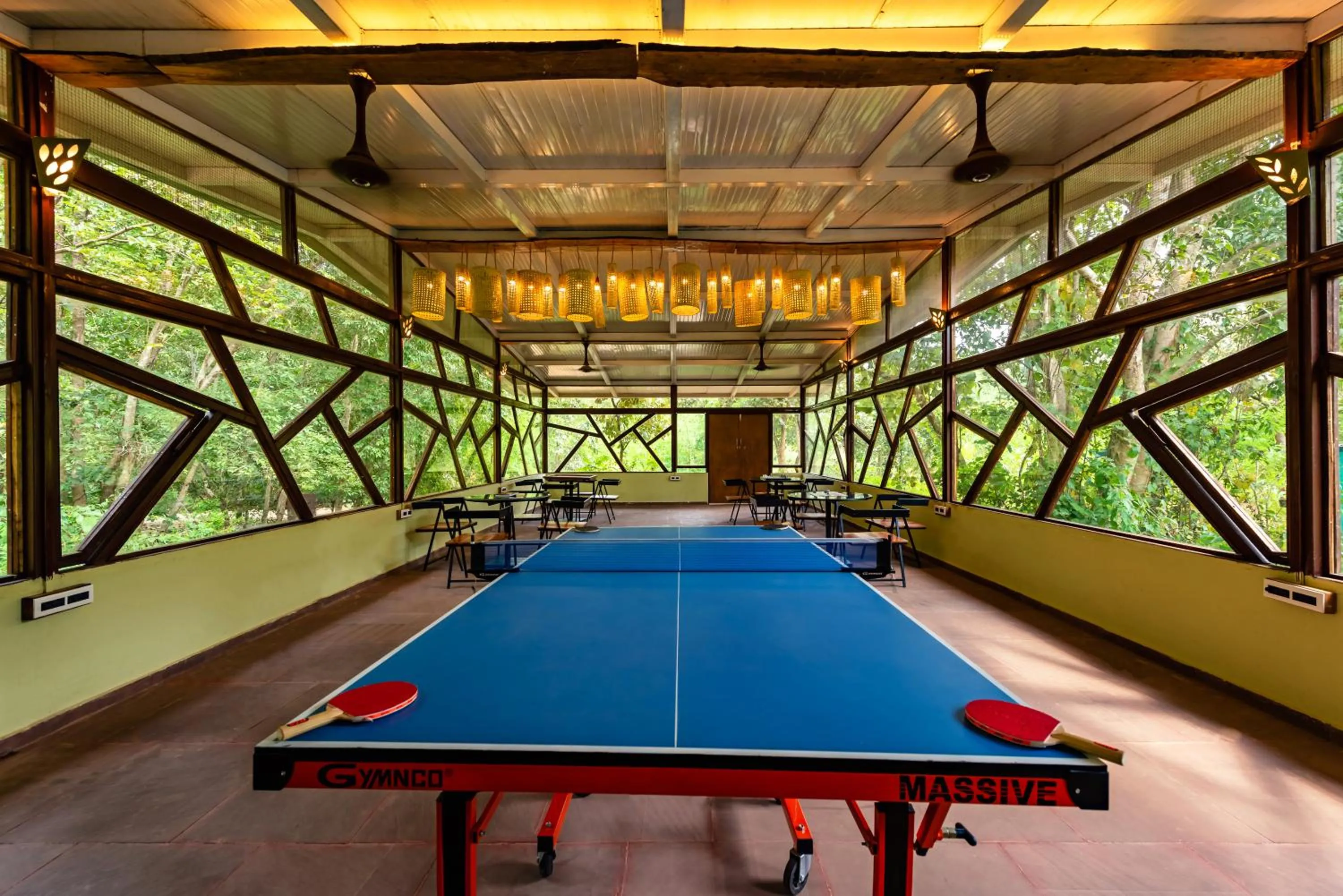 Game Room in Kanha Jungle Camp