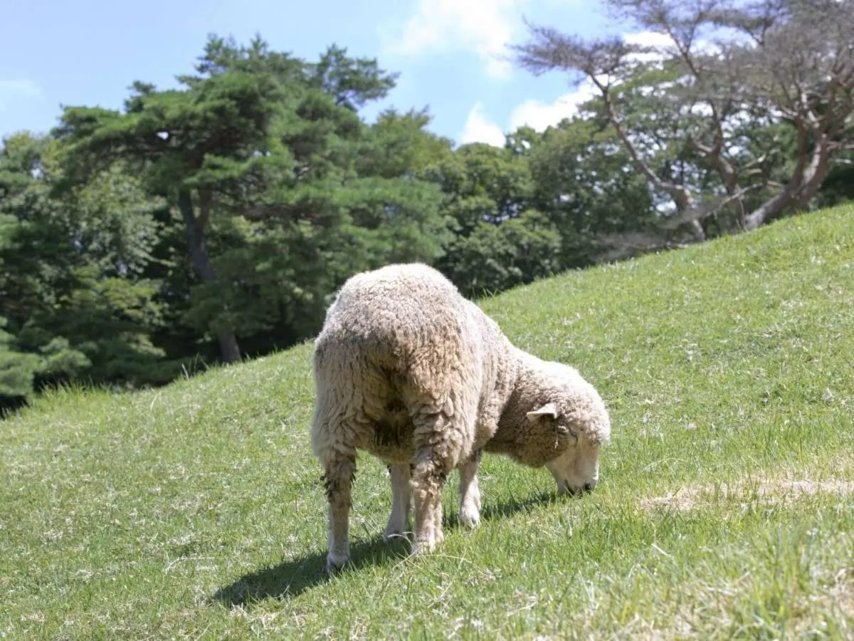 Dormy Inn Kobe Motomachi Natural Hot Springs