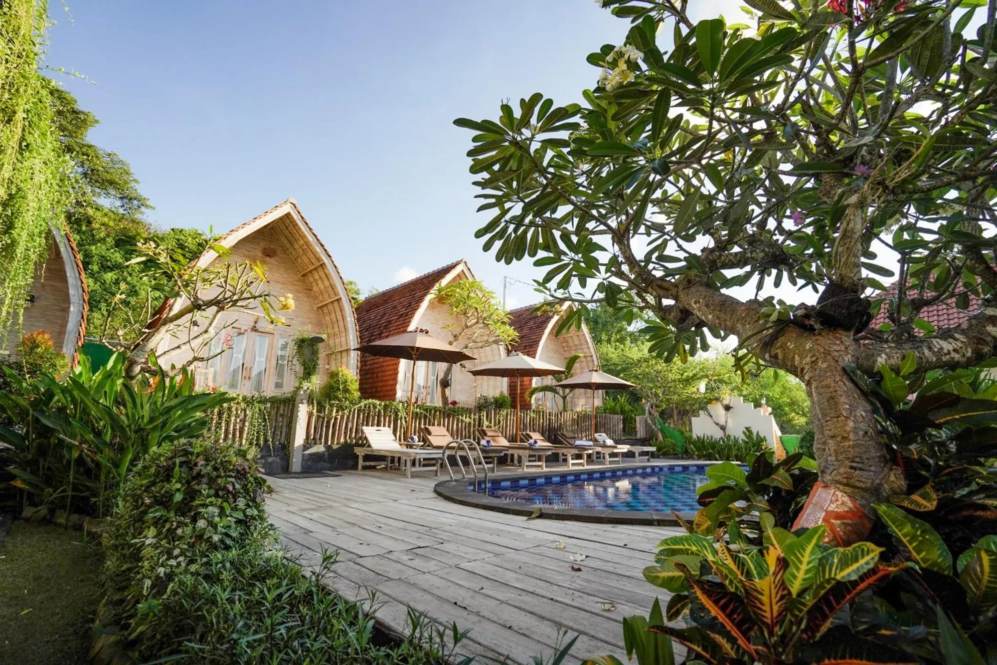 Property building in Unicorn Bungalow