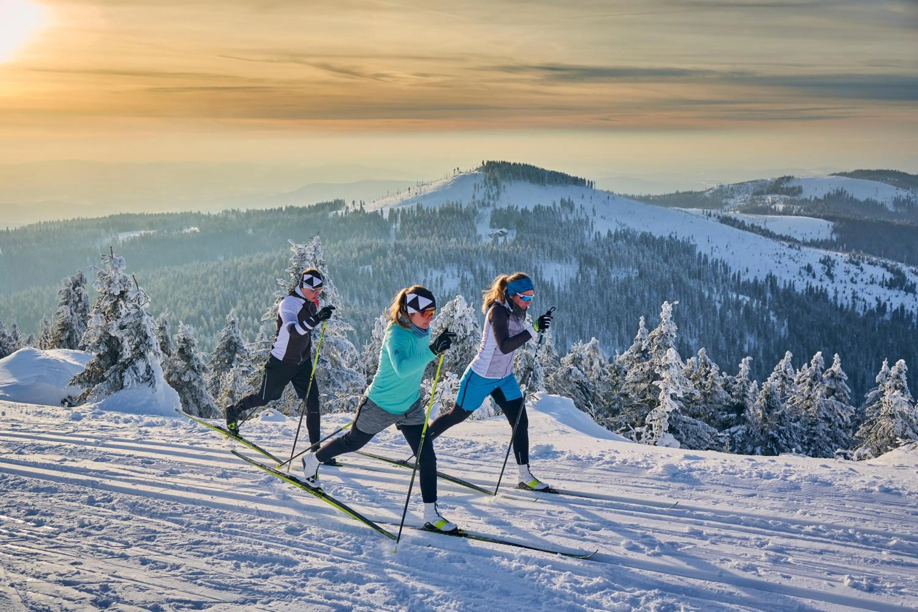 Skiing in Ferienhotel Hubertus