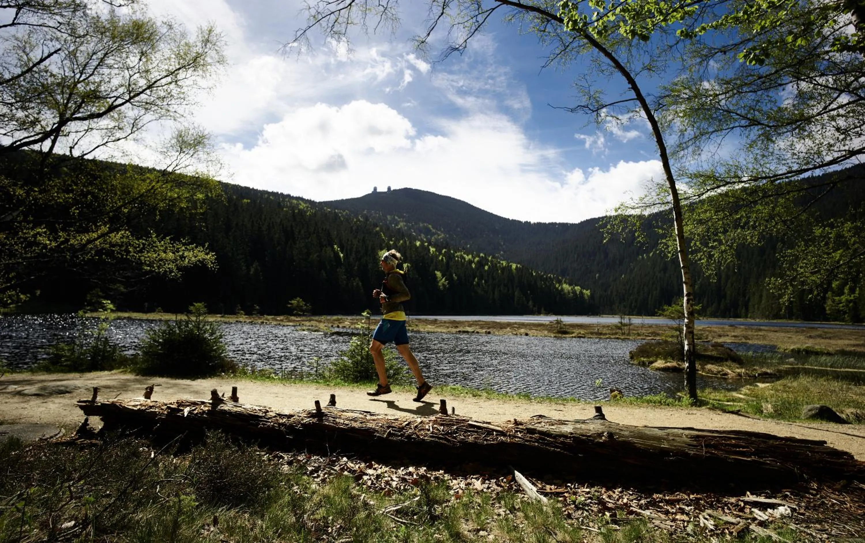 Natural landscape in Ferienhotel Hubertus