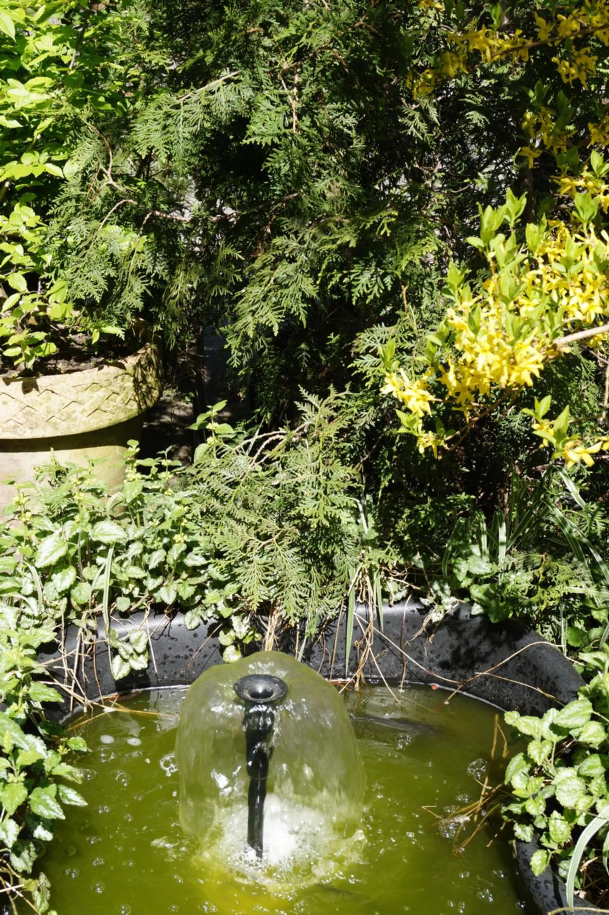 Other in Hotel Forsthaus St. Hubertus