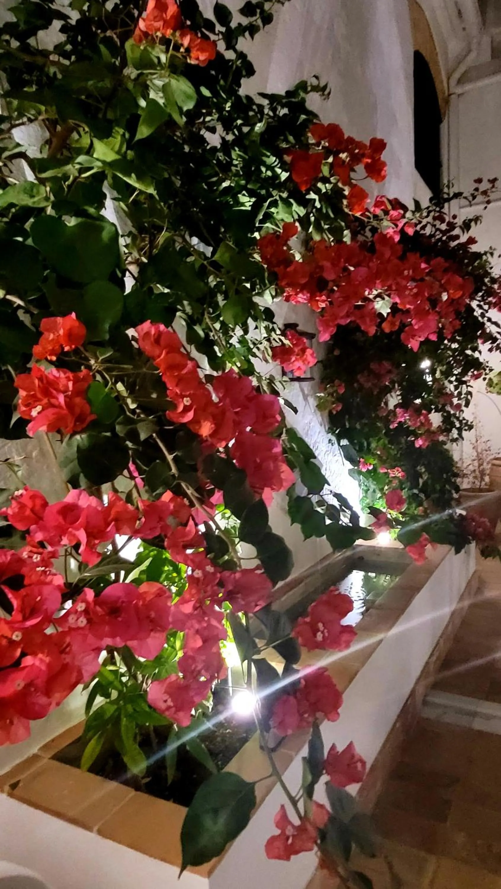 Inner courtyard view in Albariza Hotel Boutique