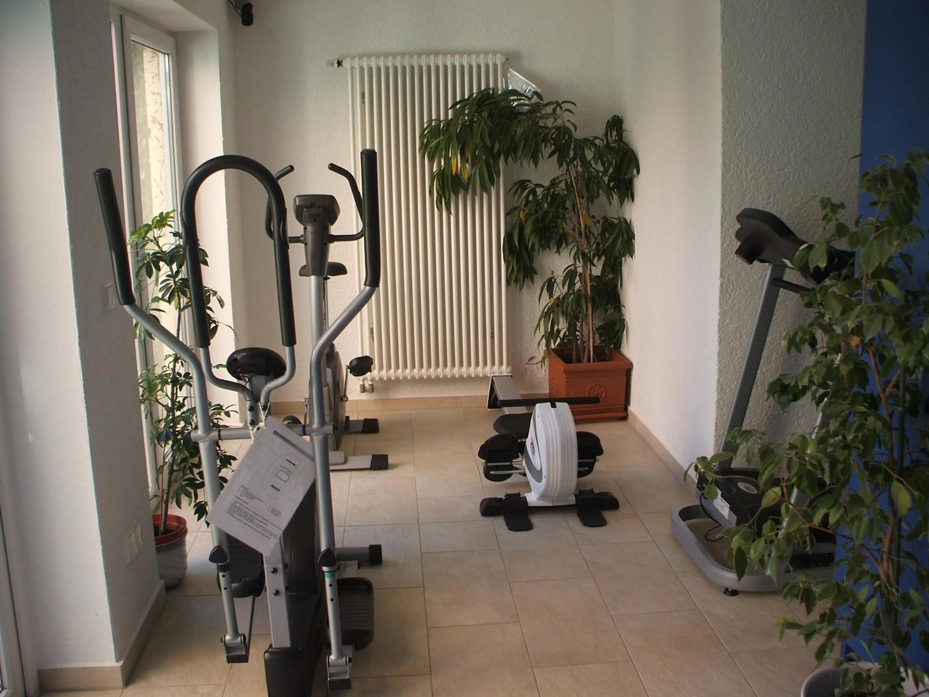 Spa and wellness centre/facilities in Hotel Apollo Garni