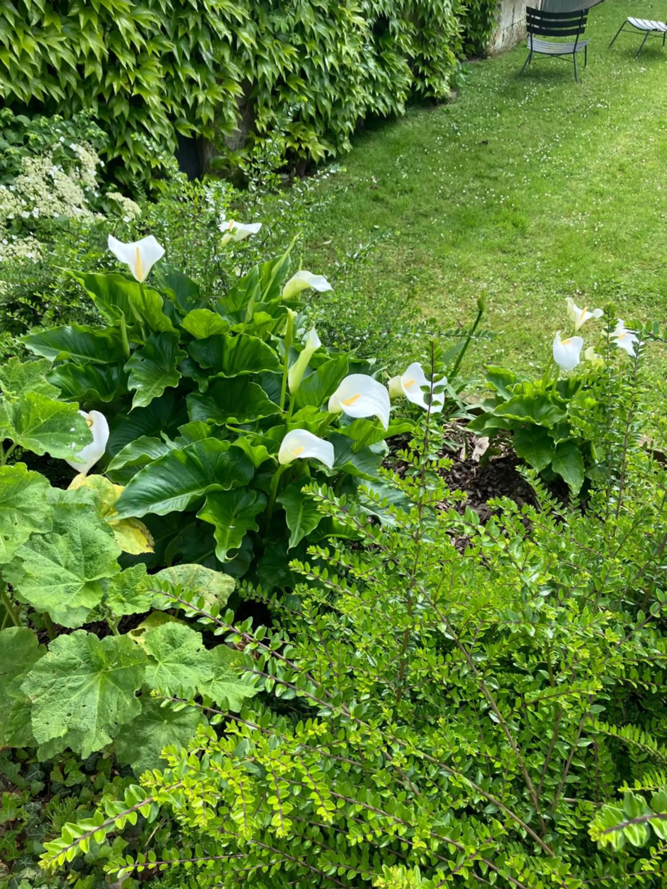 Garden in La Ferme de Valeuse