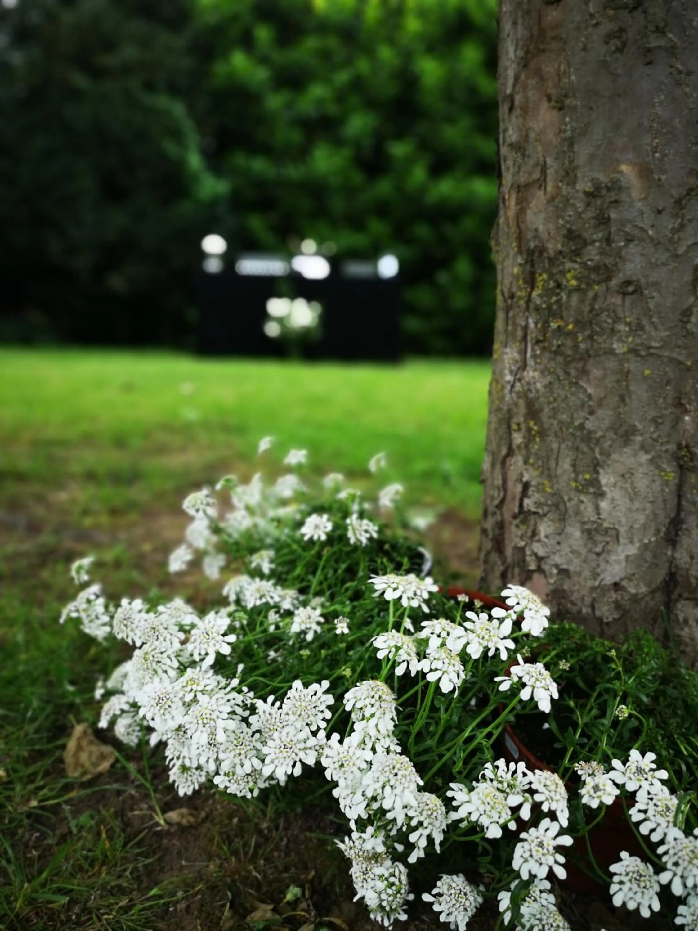 Garden in La Ferme de Valeuse