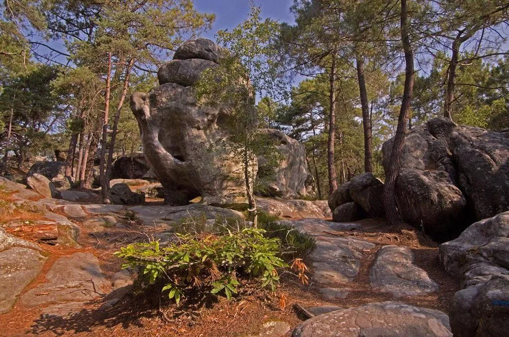 Neighbourhood in La Verriere du Baron Greau