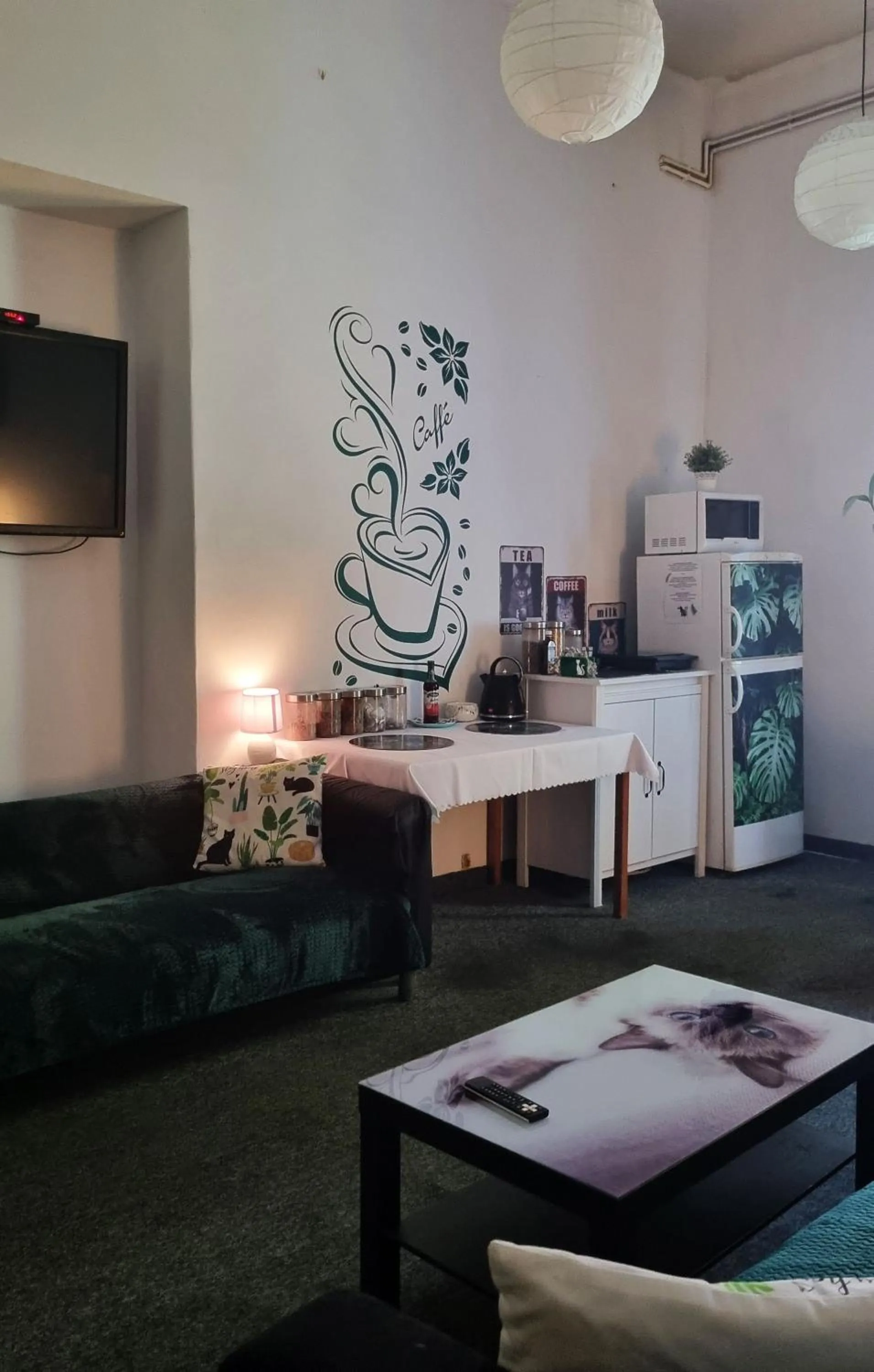 Communal lounge/ TV room in Green Cat Rooms