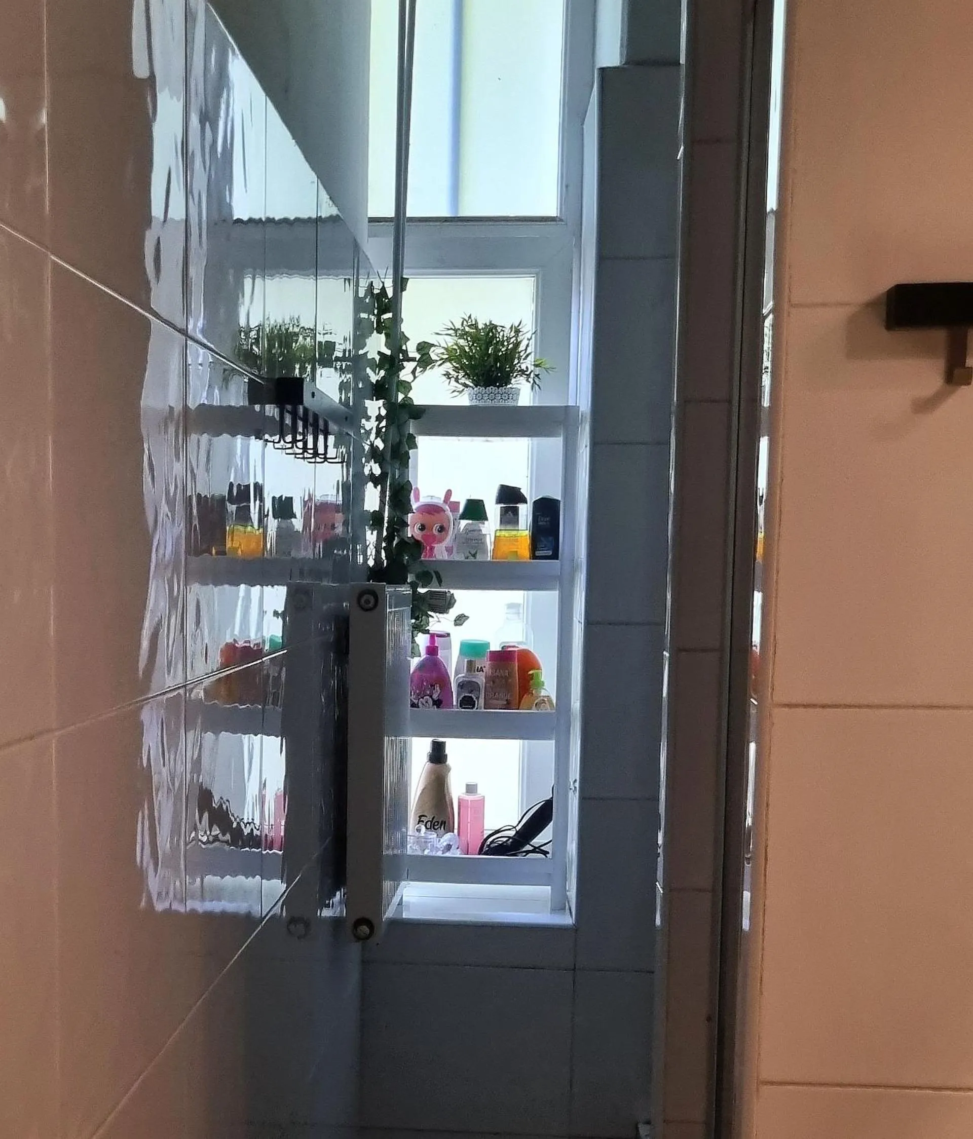 Bathroom in Green Cat Rooms