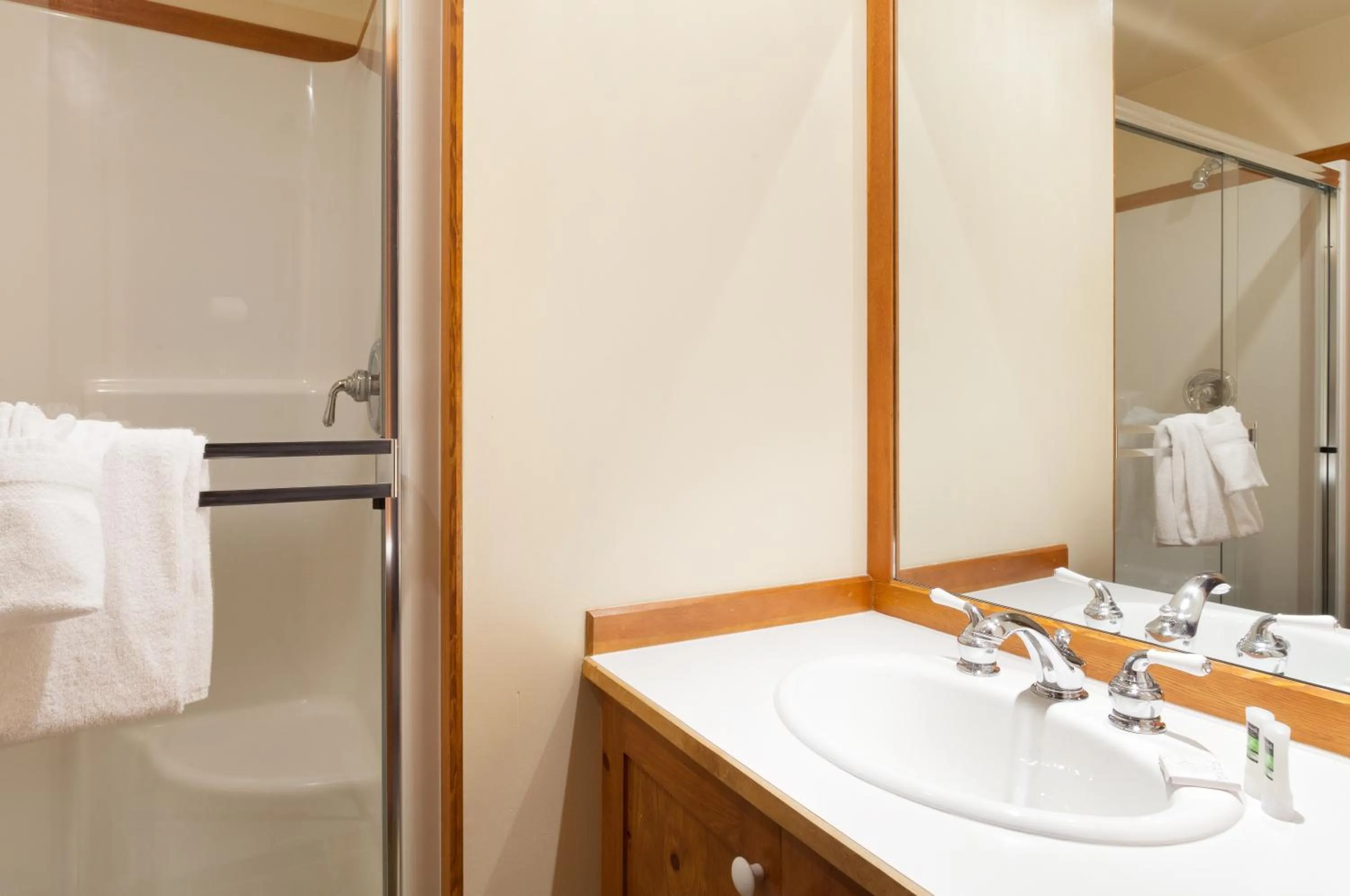 Bathroom in Treeline Townhome by Whistler Premier