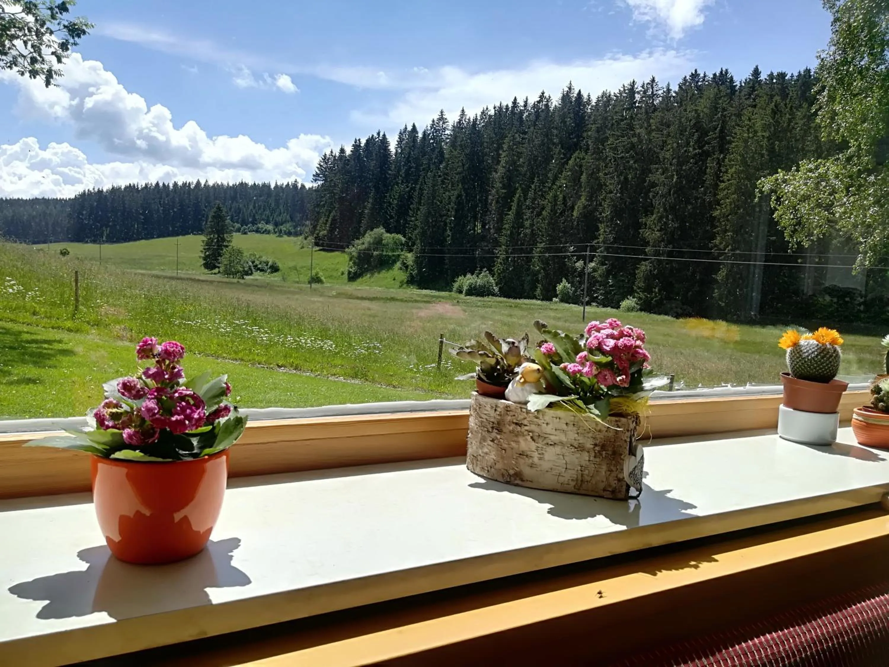Natural landscape in Hotel Kaltenbach