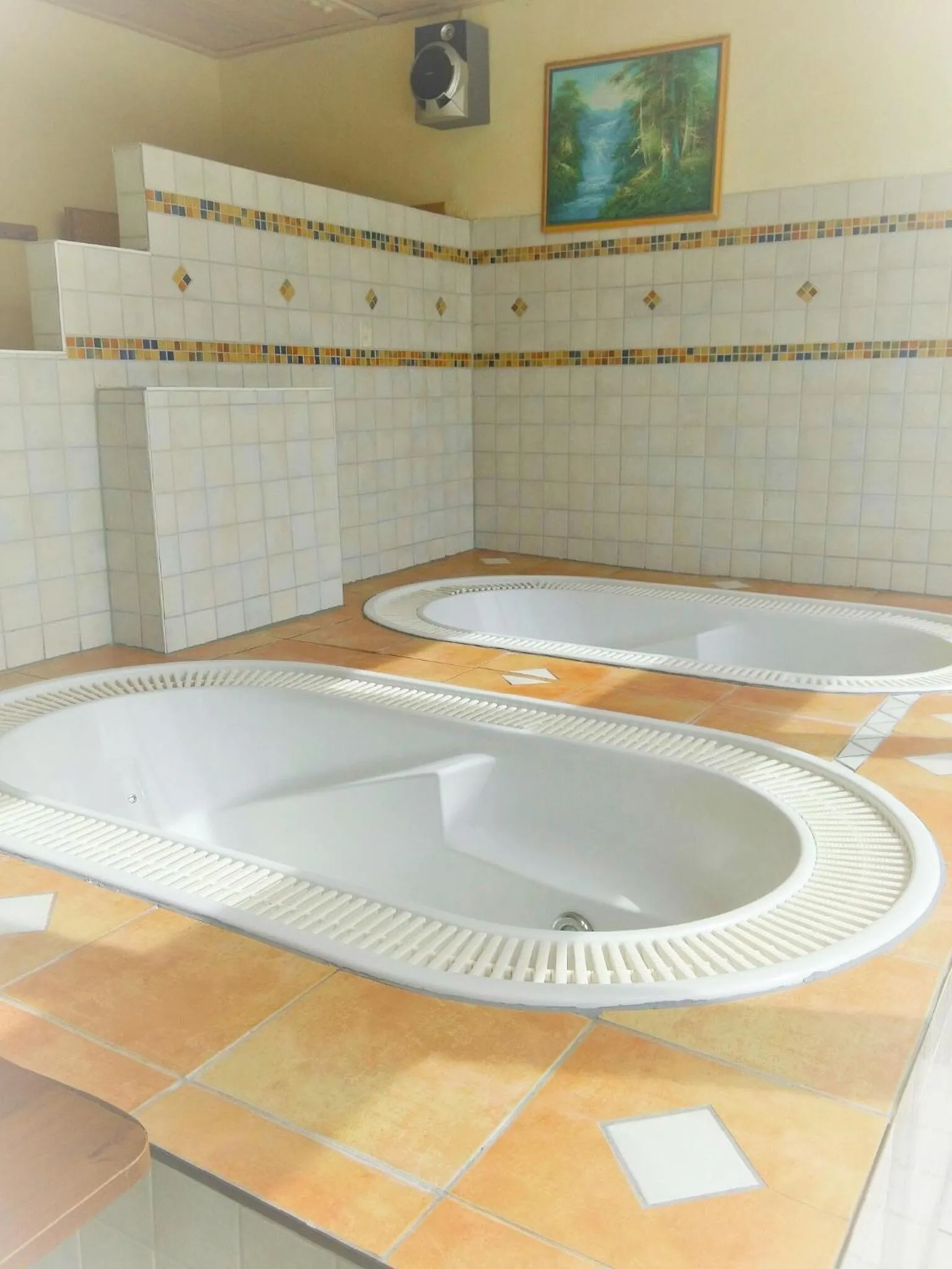 Hot Tub in Hotel Kaltenbach