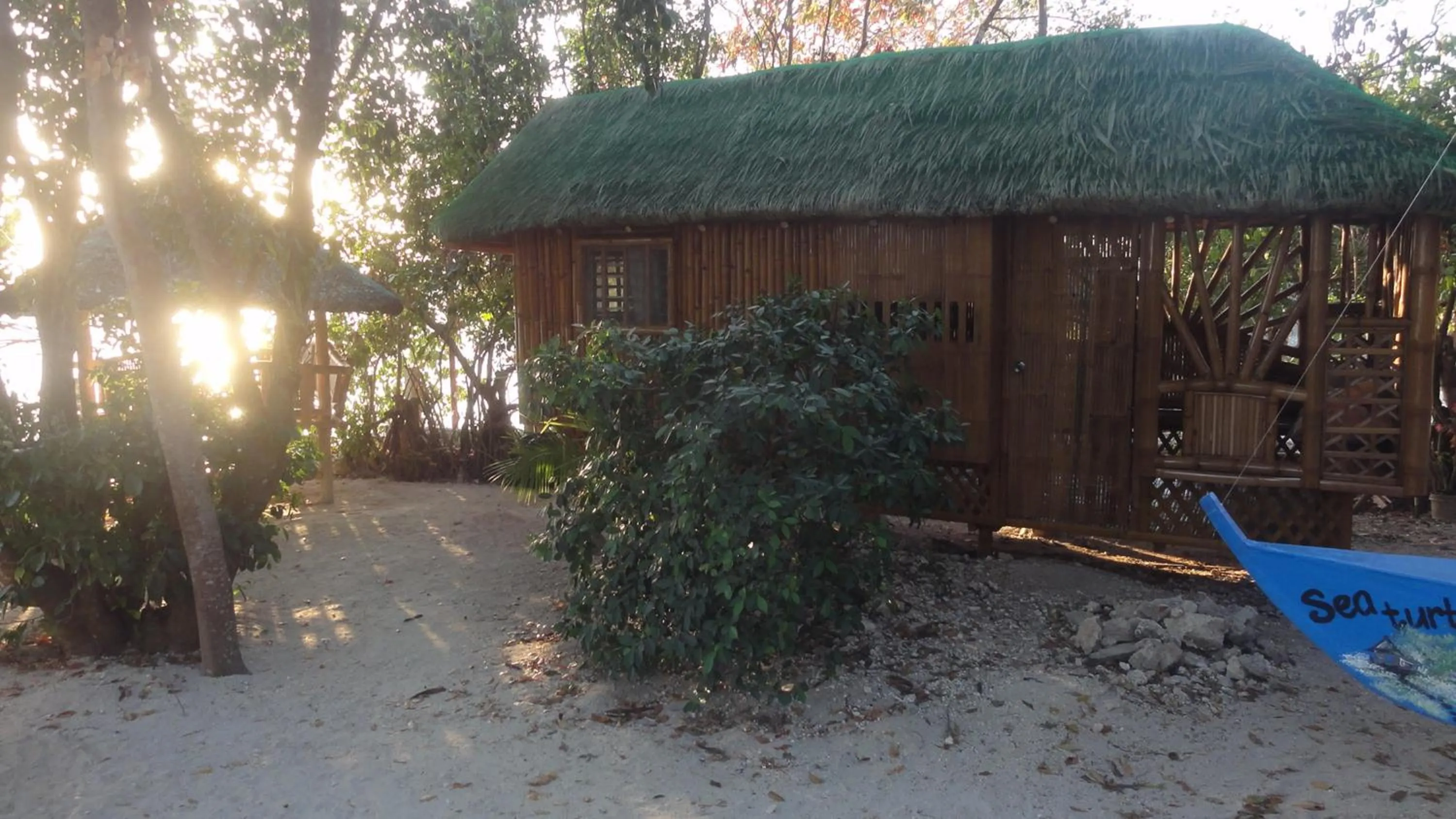 Property building in Sea Turtle House Moalboal