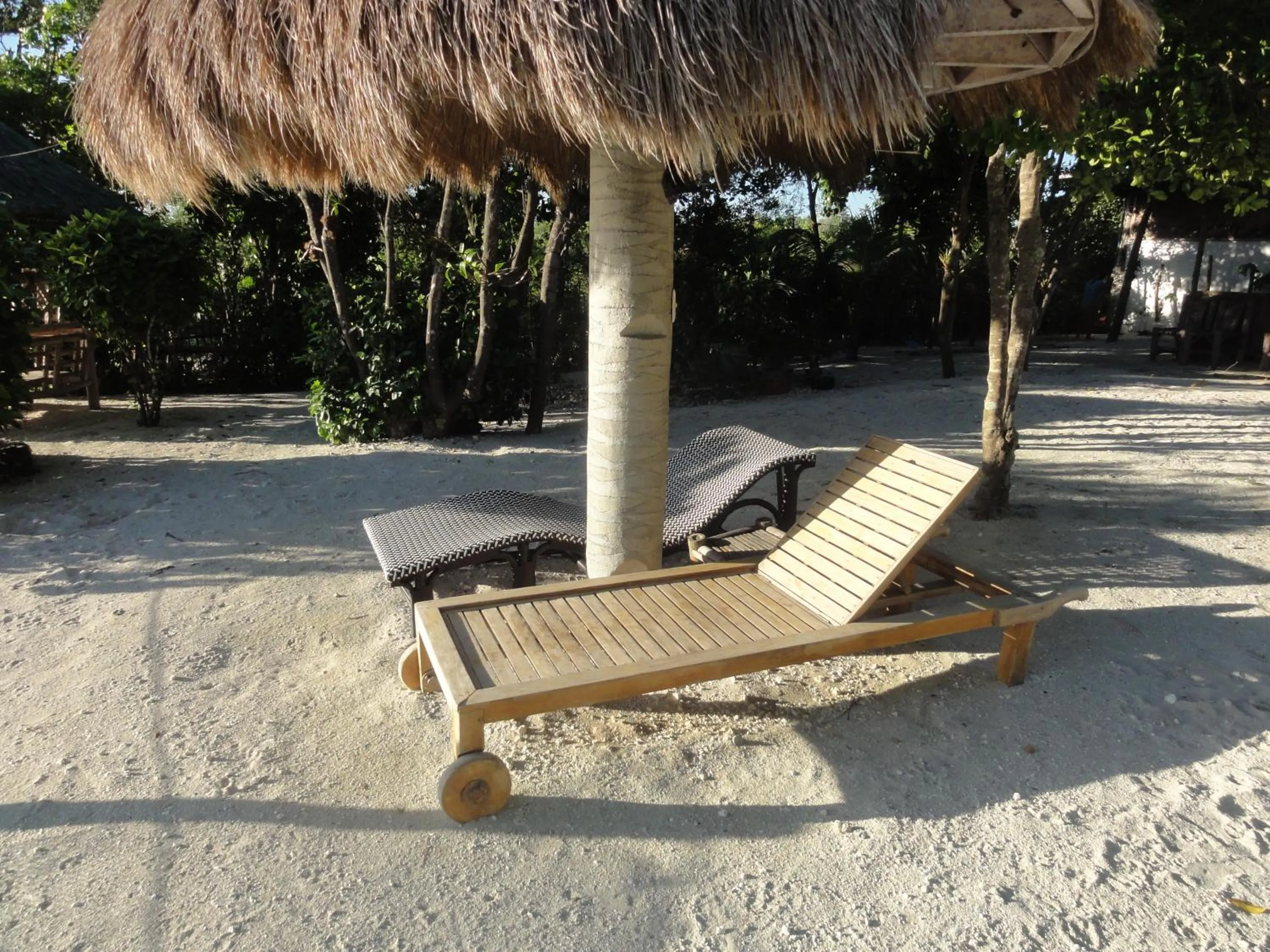 Garden in Sea Turtle House Moalboal