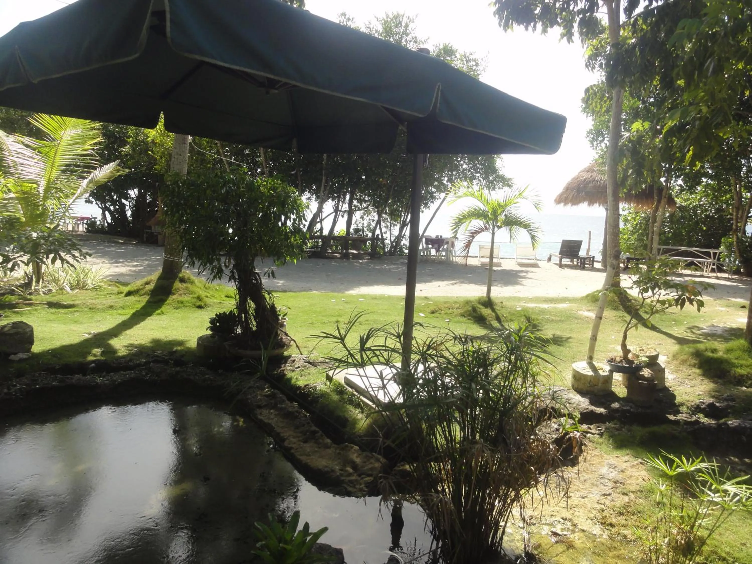 View (from property/room) in Sea Turtle House Moalboal