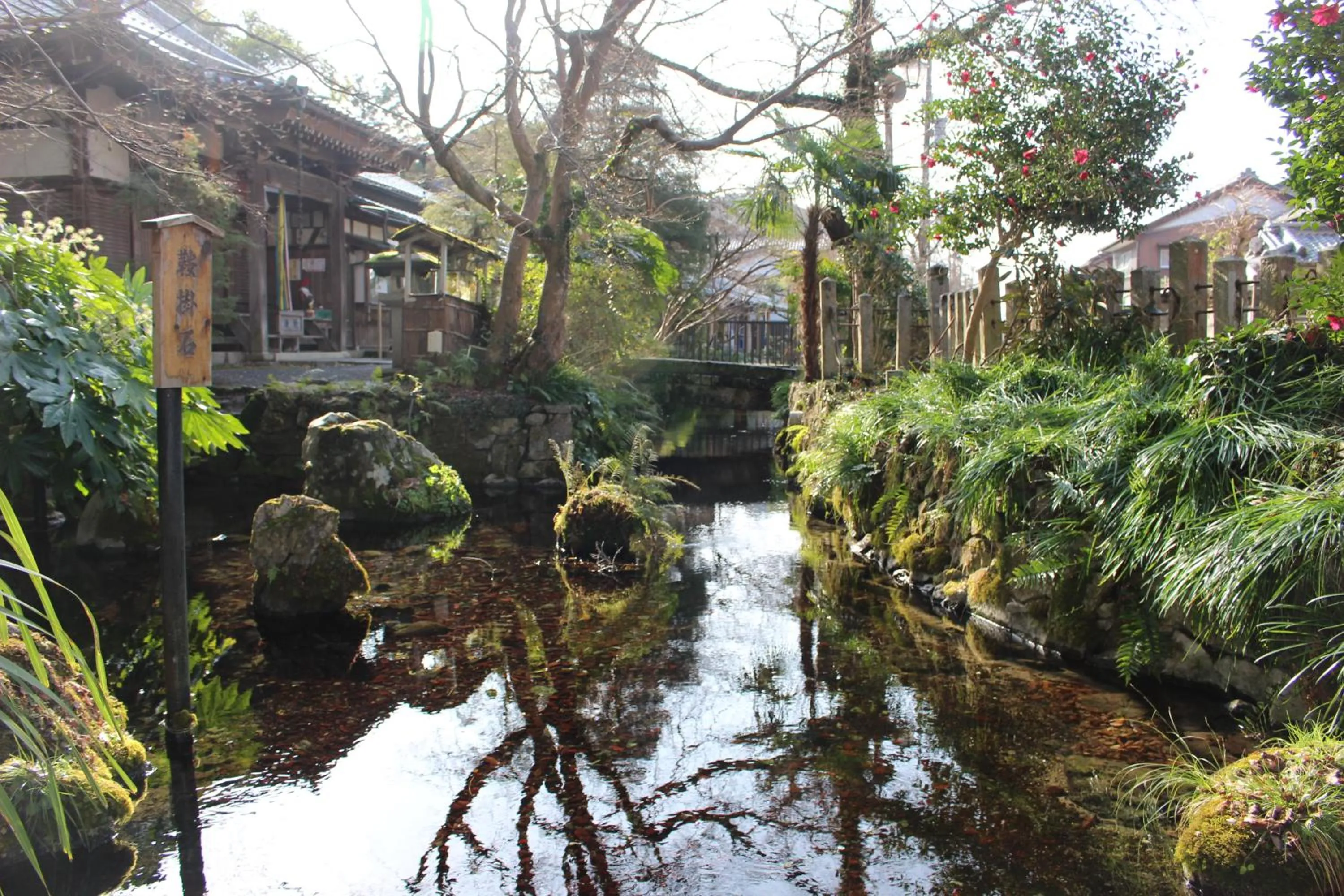 Natural landscape in Guesthouse Izame Ann