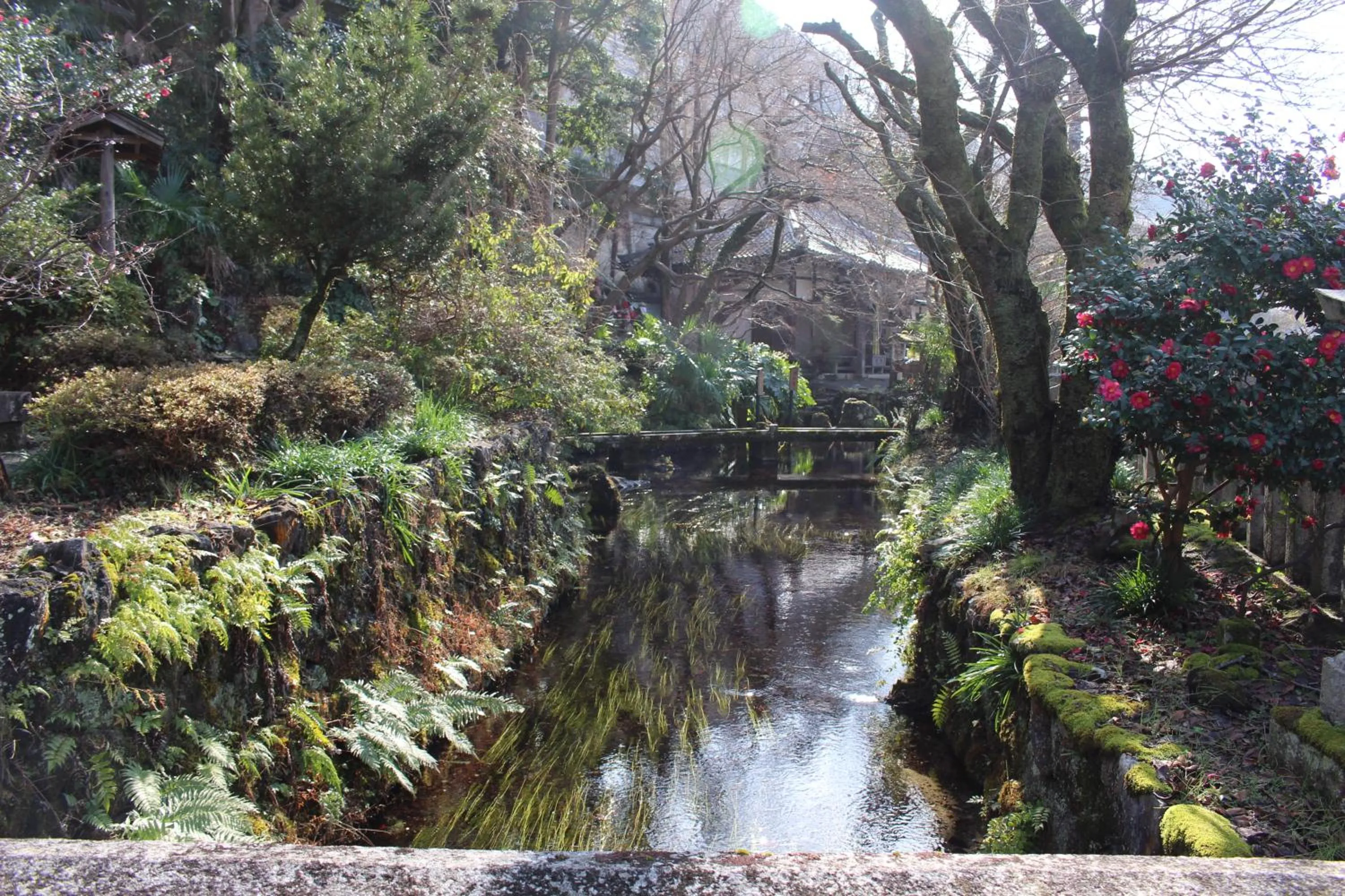 Natural landscape in Guesthouse Izame Ann