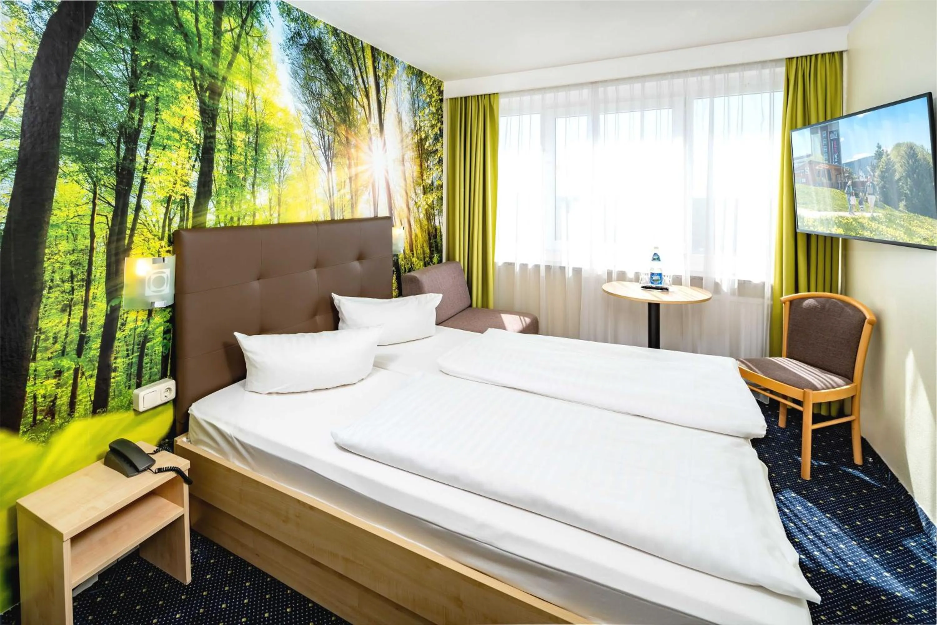 Panorama Room with Valley View  - single occupancy in AHORN Hotel Am Fichtelberg