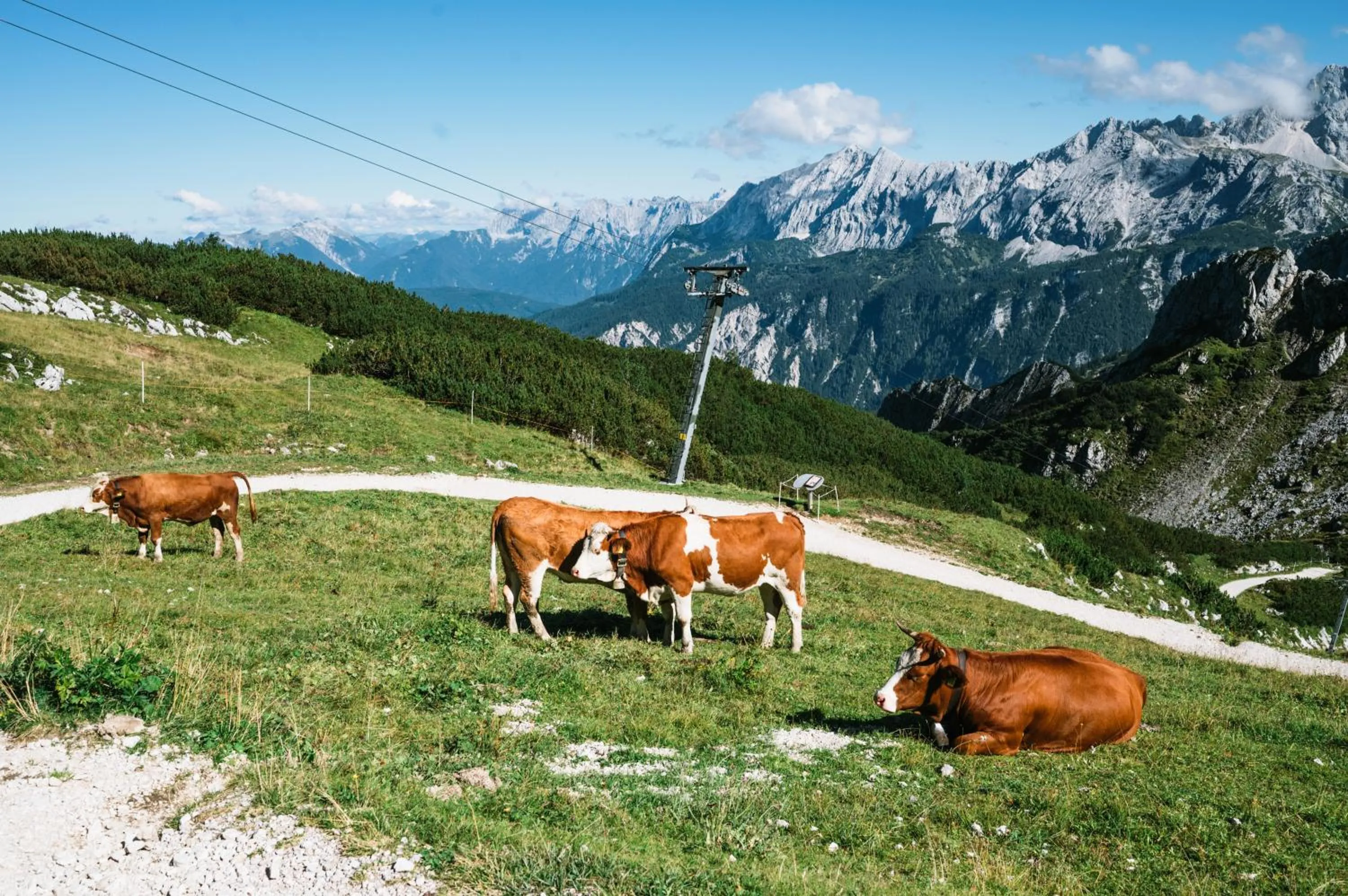 Natural landscape in HENRI Country House Garmisch-Partenkirchen